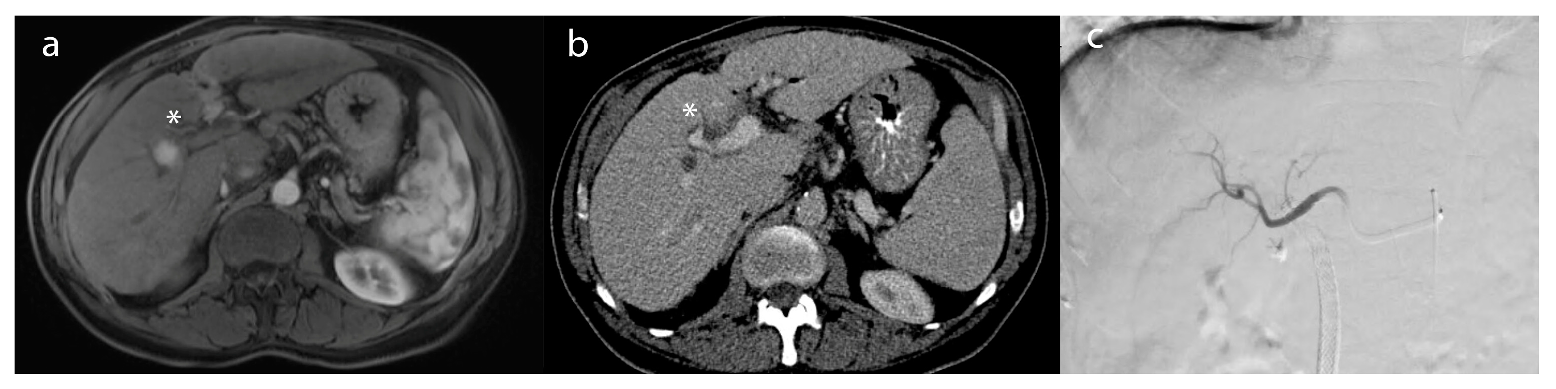 Biology 12 00999 g003 Biology 12 00999 g003