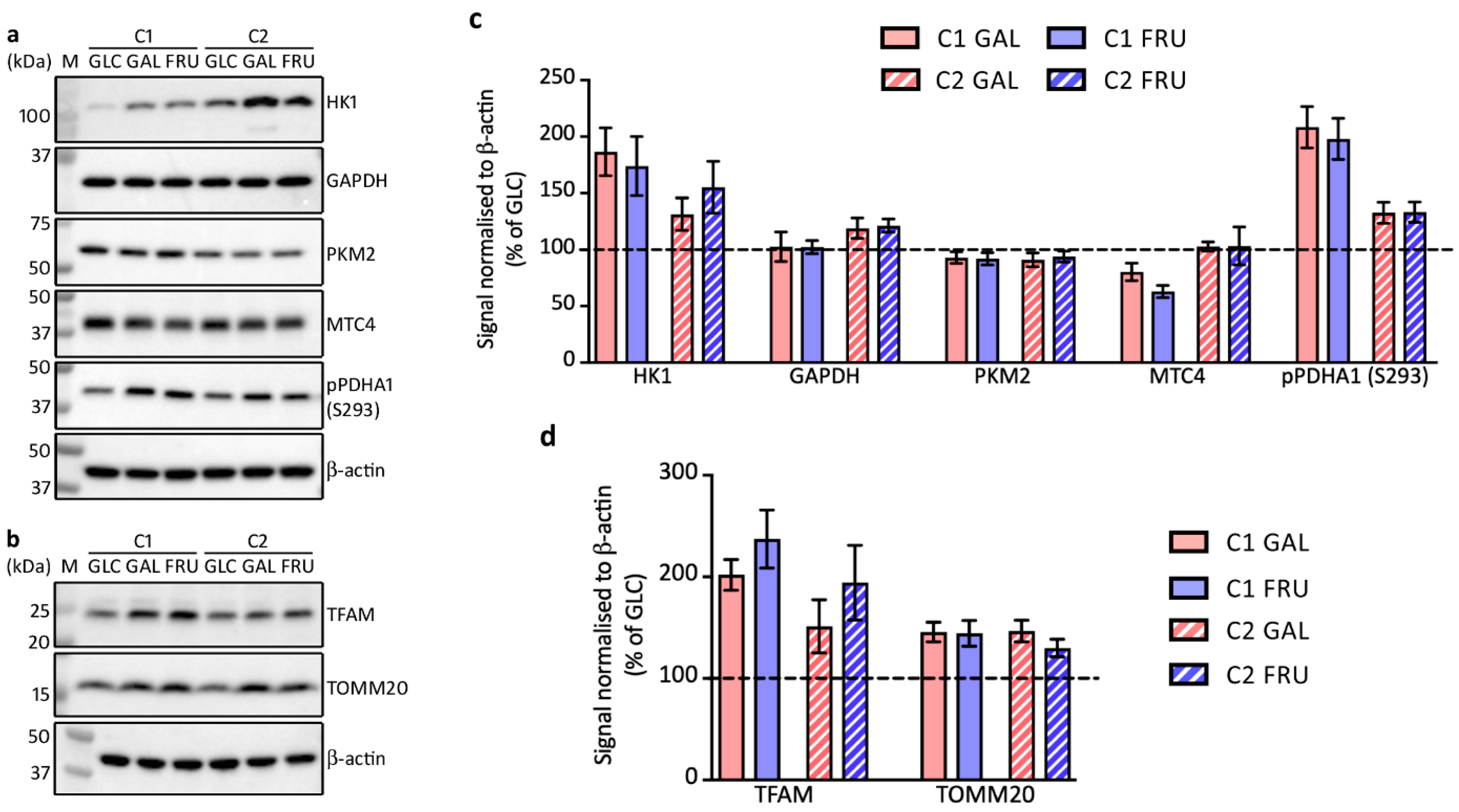 Biology 12 01002 g003 Biology 12 01002 g003