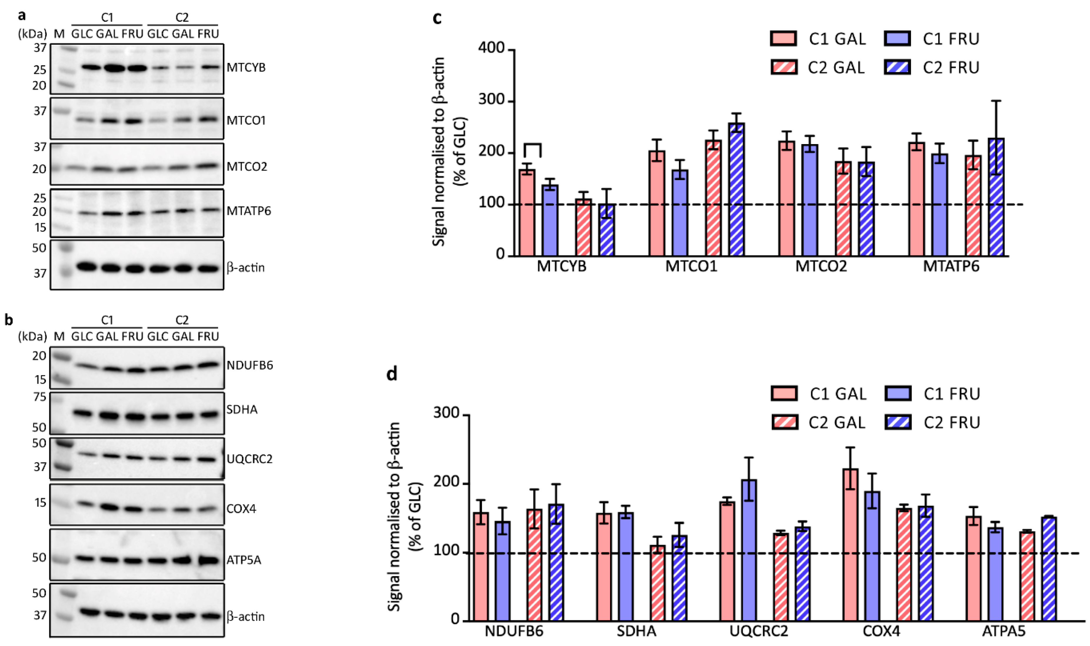 Biology 12 01002 g004 Biology 12 01002 g004