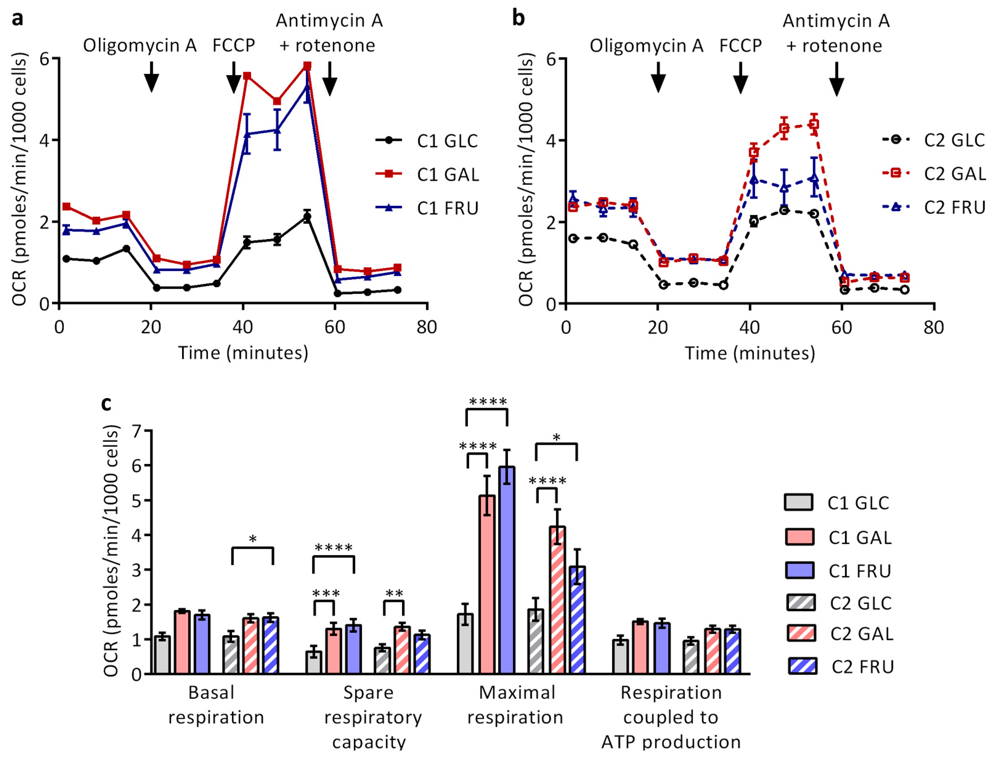 Biology 12 01002 g007 Biology 12 01002 g007