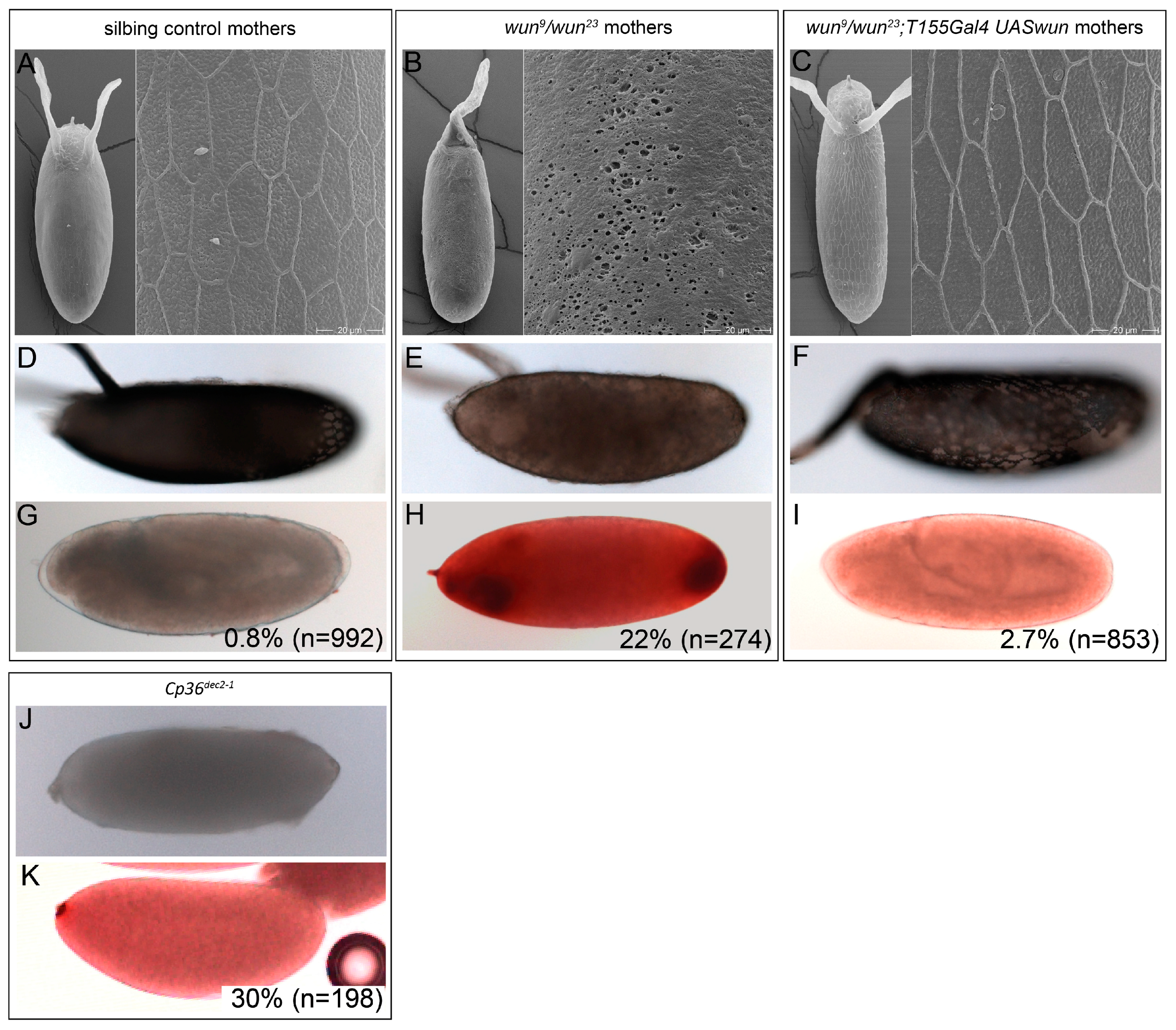 Biology 12 01003 g003 Biology 12 01003 g003