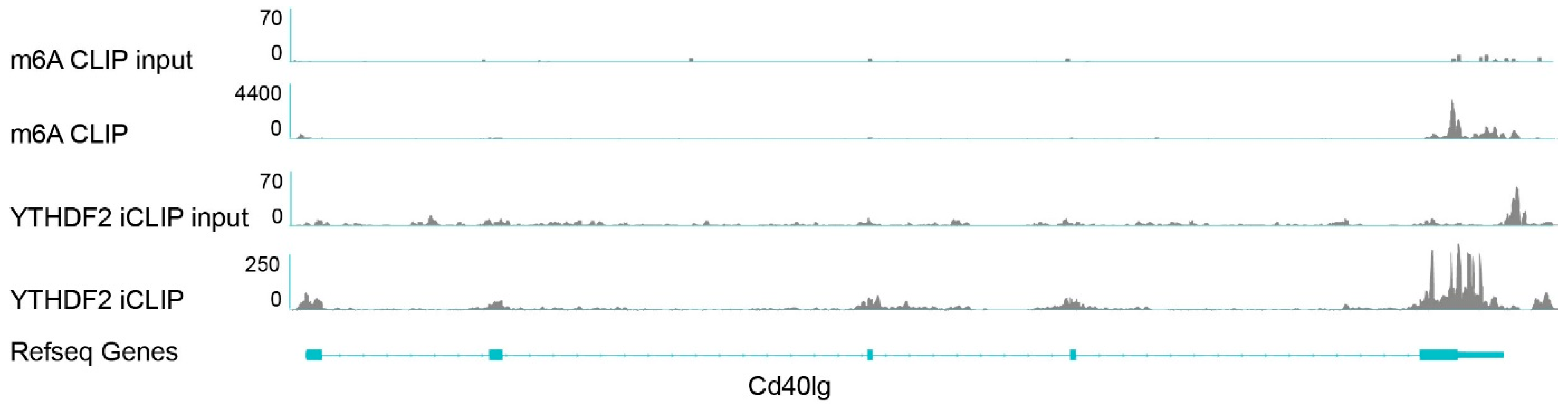 Biology 12 01004 g004 Biology 12 01004 g004