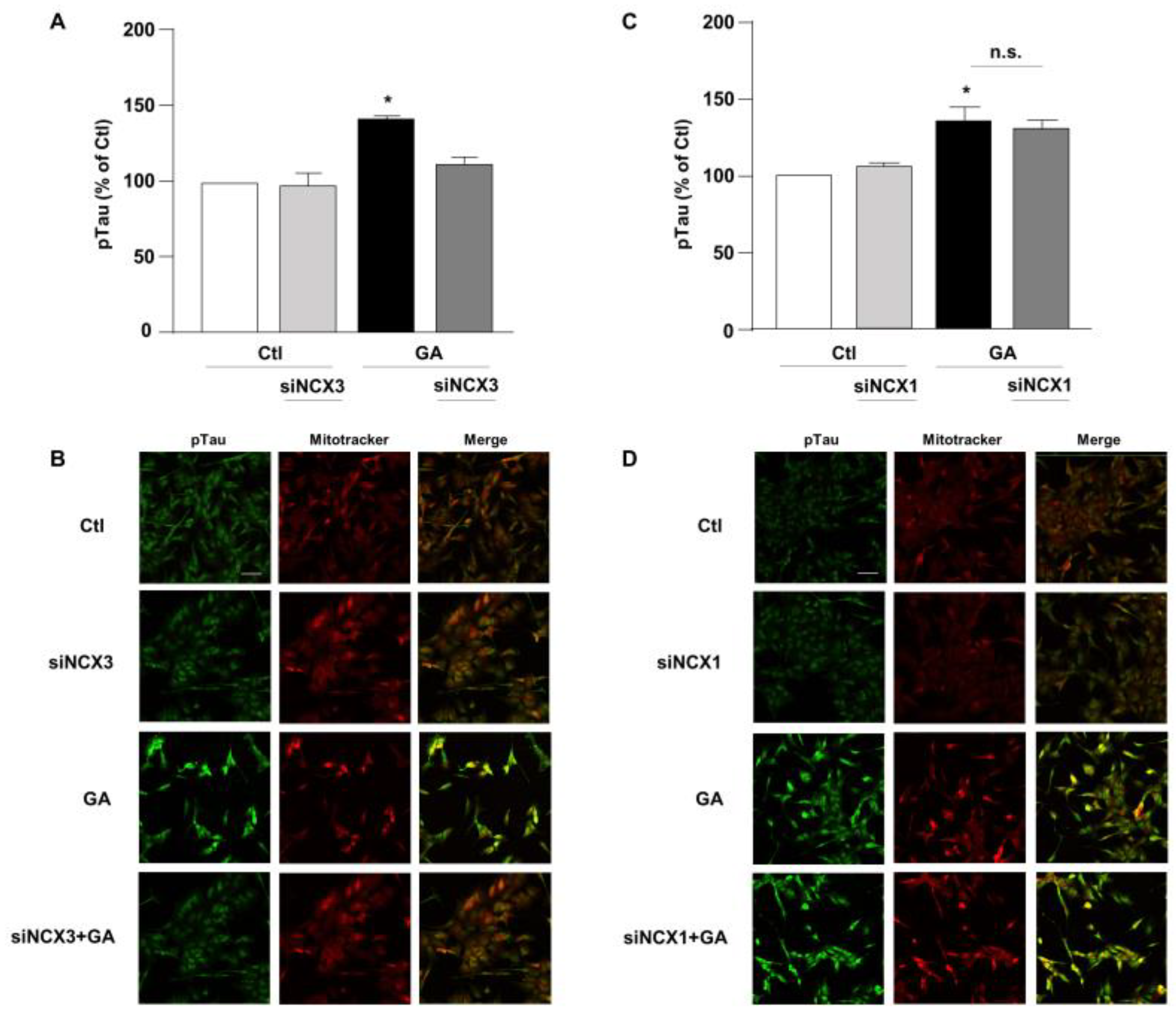 Biology 12 01005 g005 Biology 12 01005 g005
