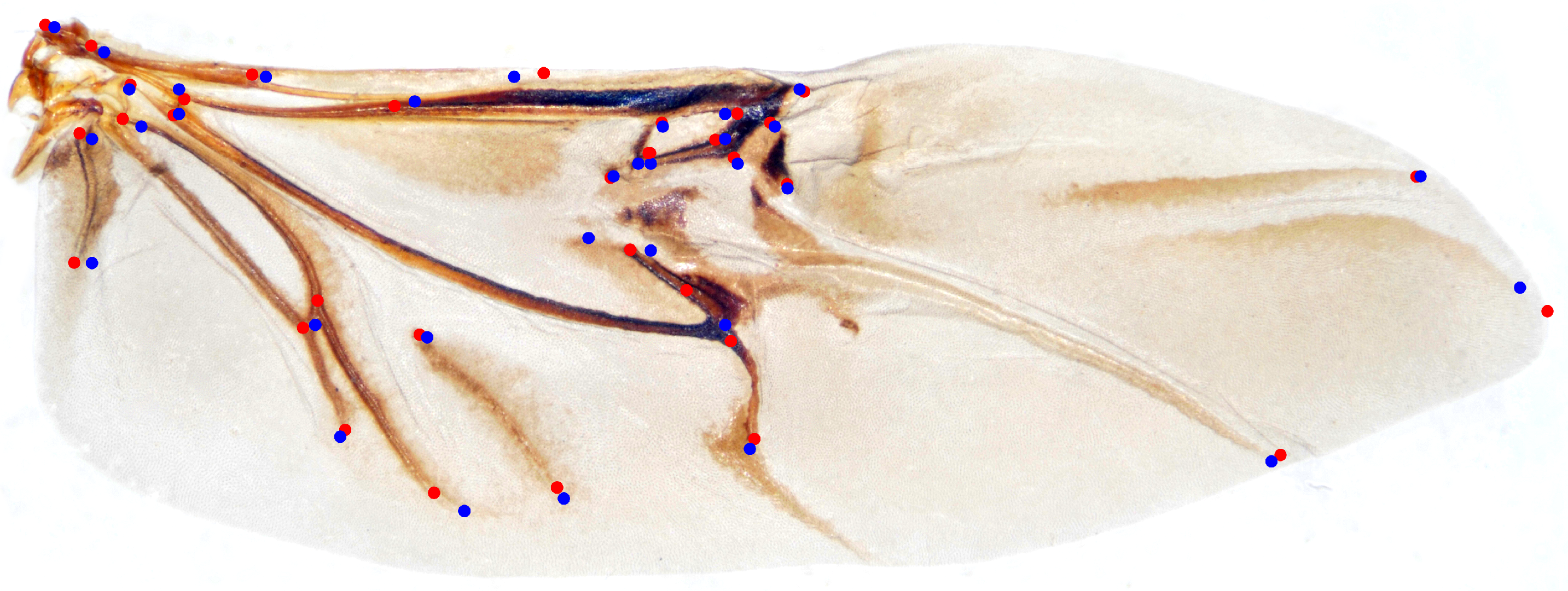 Biology 12 01006 g004 Biology 12 01006 g004