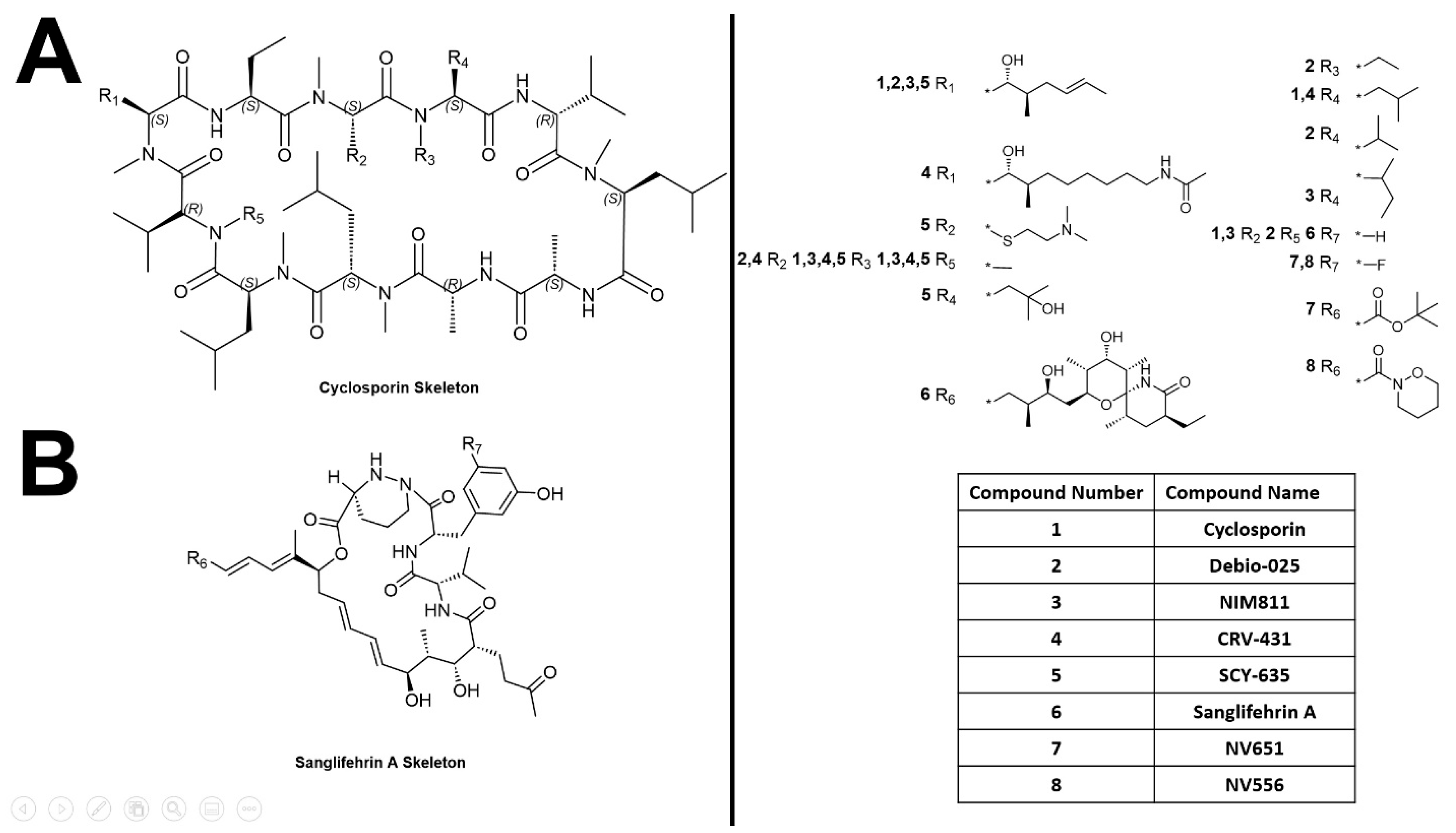 Biology 12 01008 g006 Biology 12 01008 g006