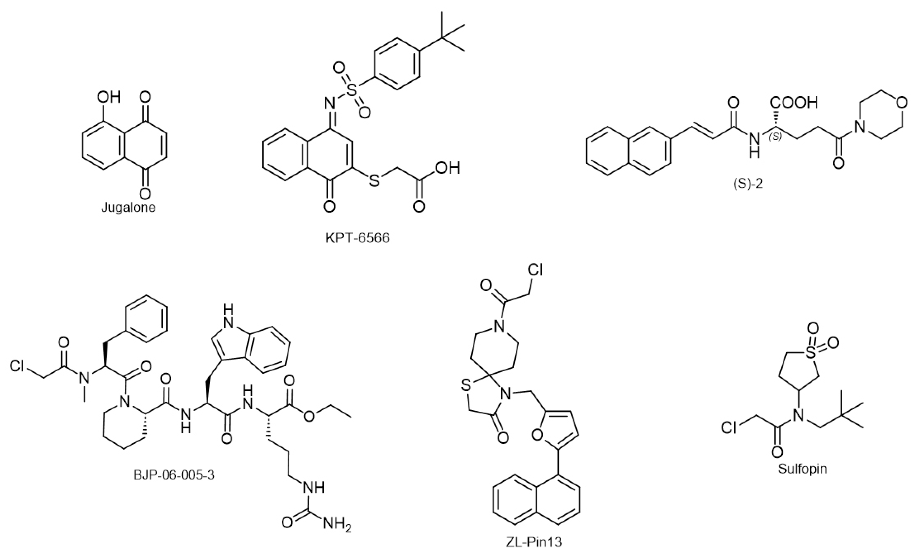 Biology 12 01008 g008 Biology 12 01008 g008