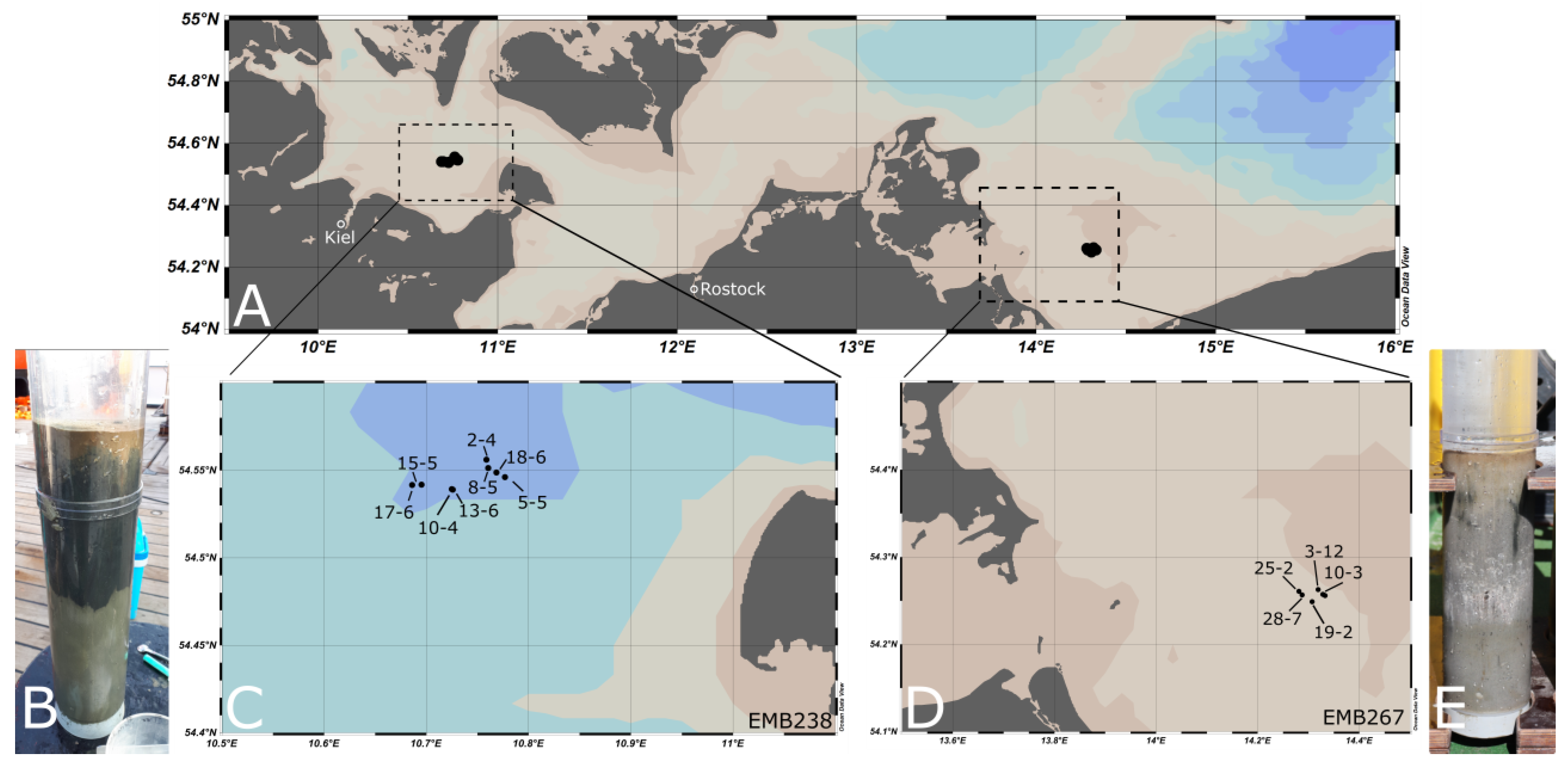 Biology 12 01010 g001