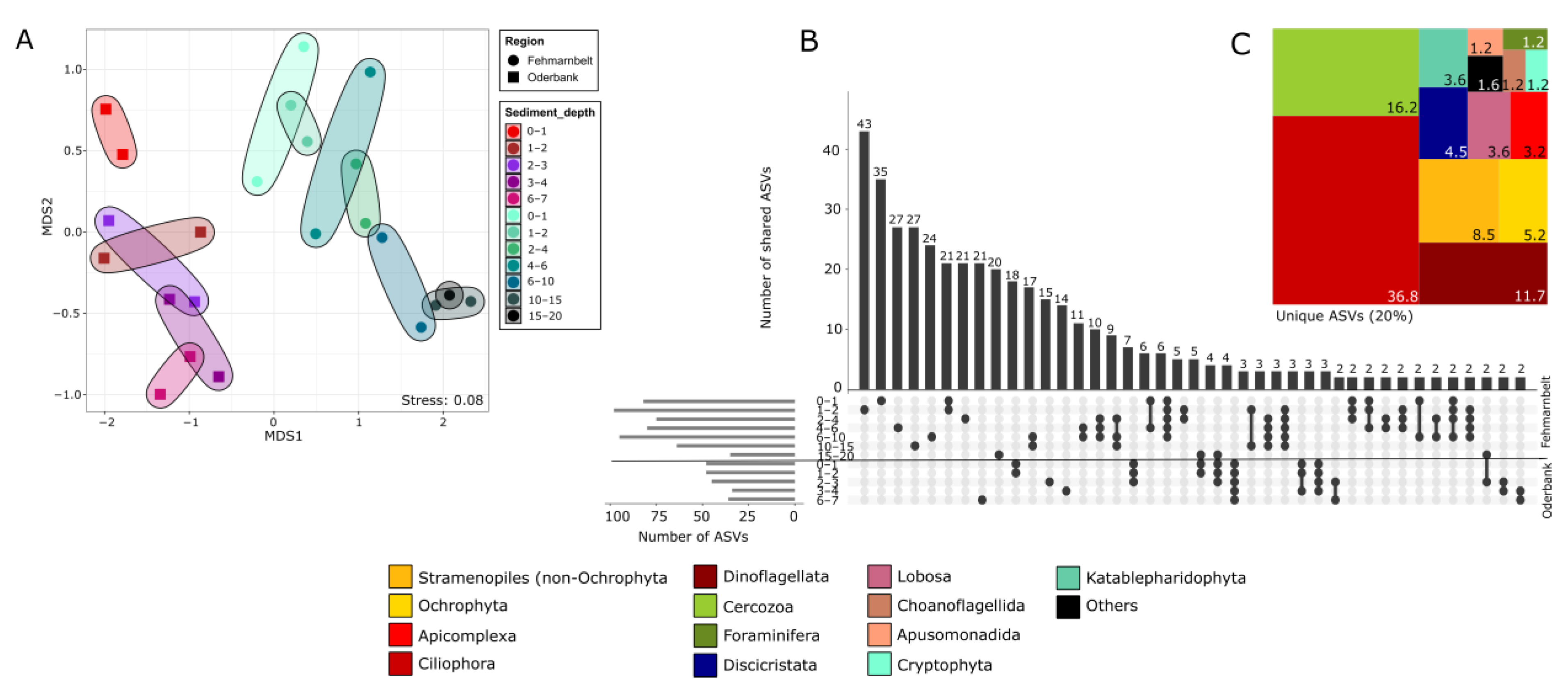 Biology 12 01010 g006