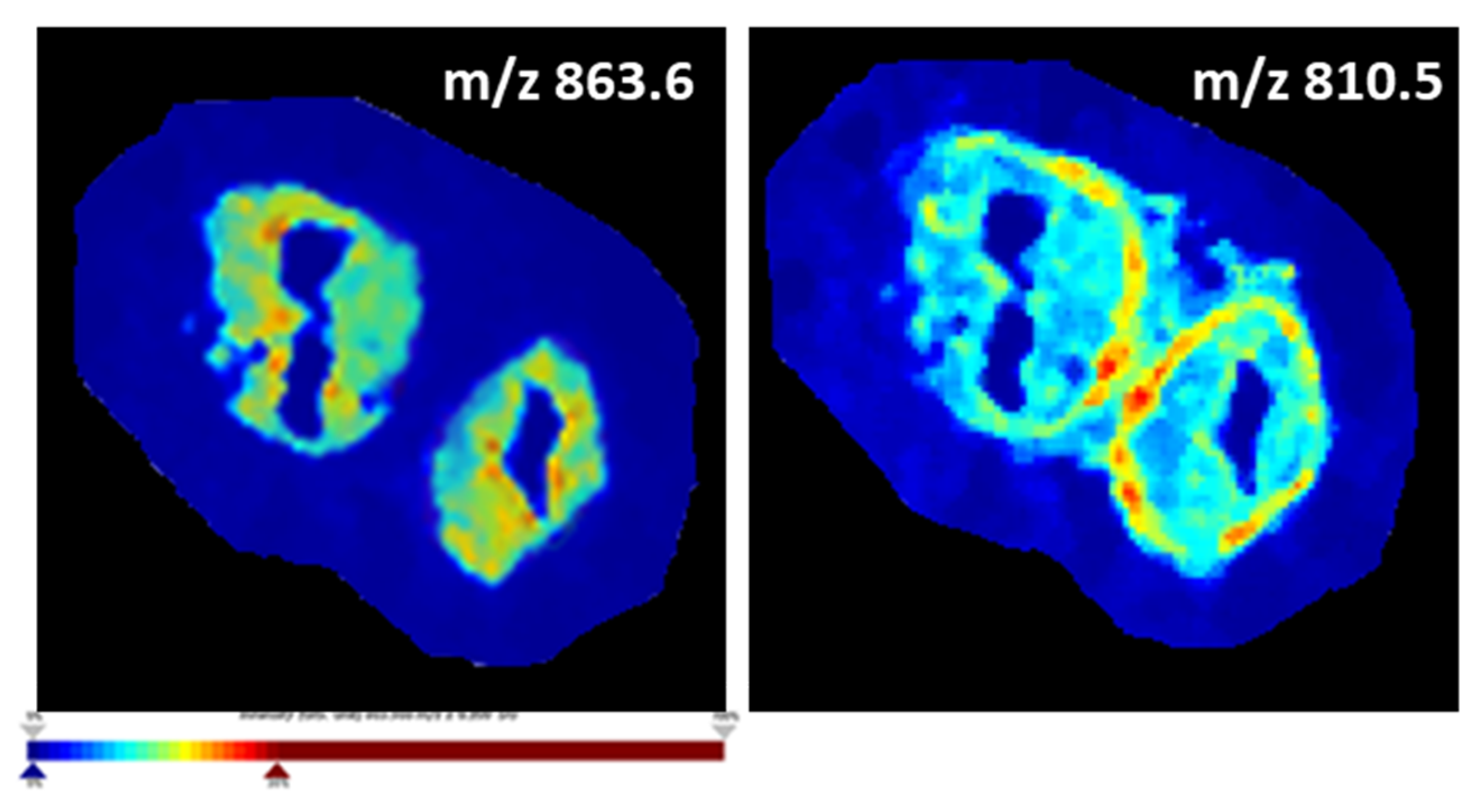 Biology 12 01016 g003 Biology 12 01016 g003