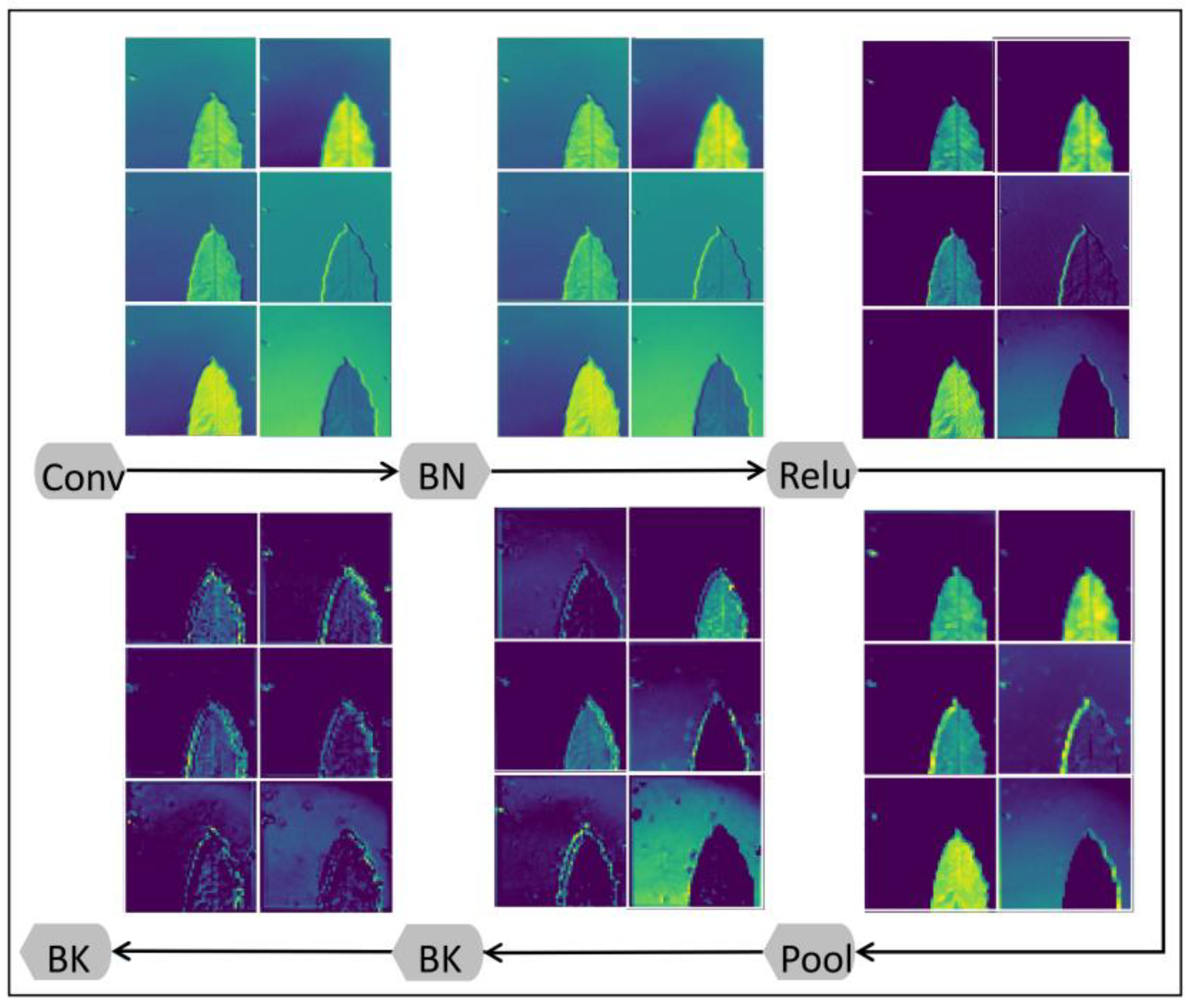Biology 12 01017 g002