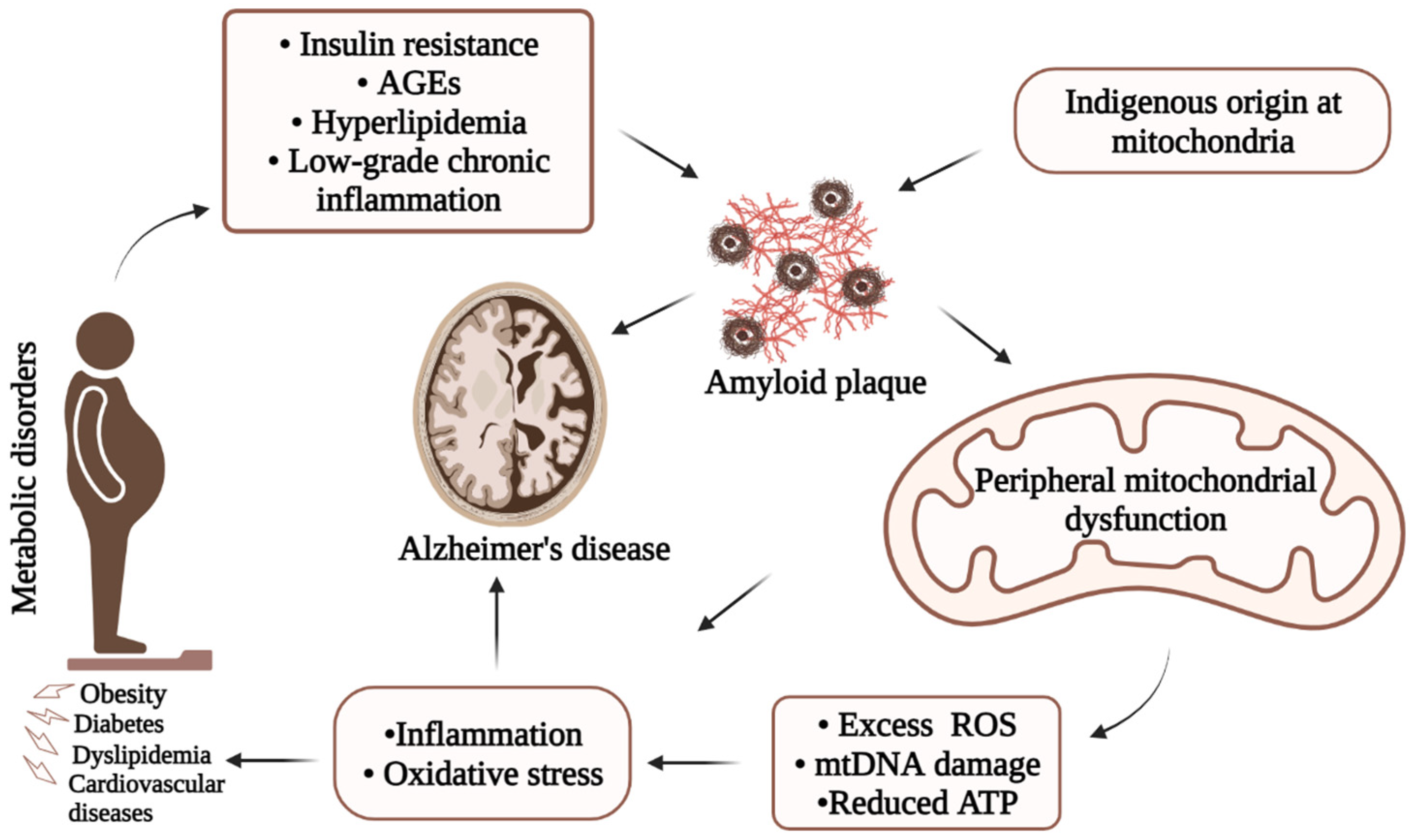 Biology 12 01019 g004