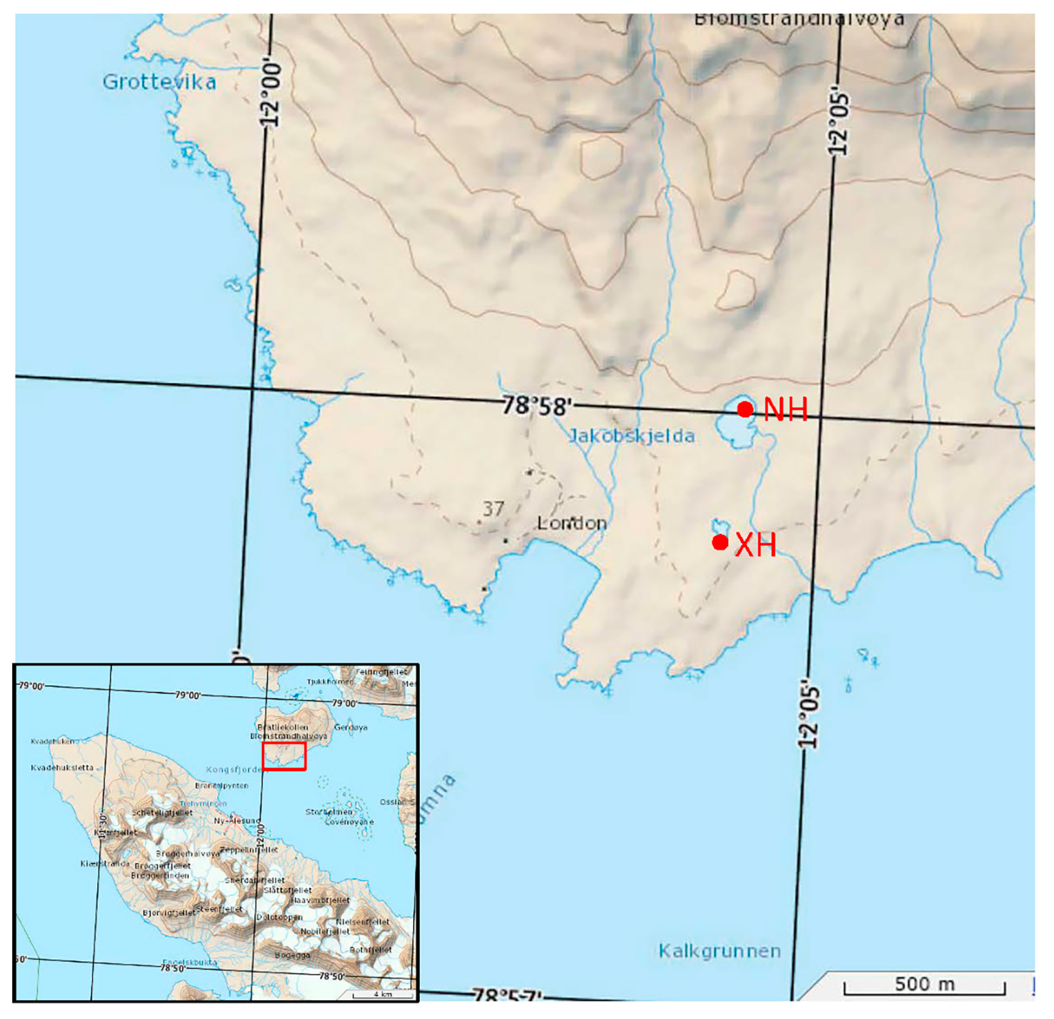Biology 12 01023 g001 Biology 12 01023 g001