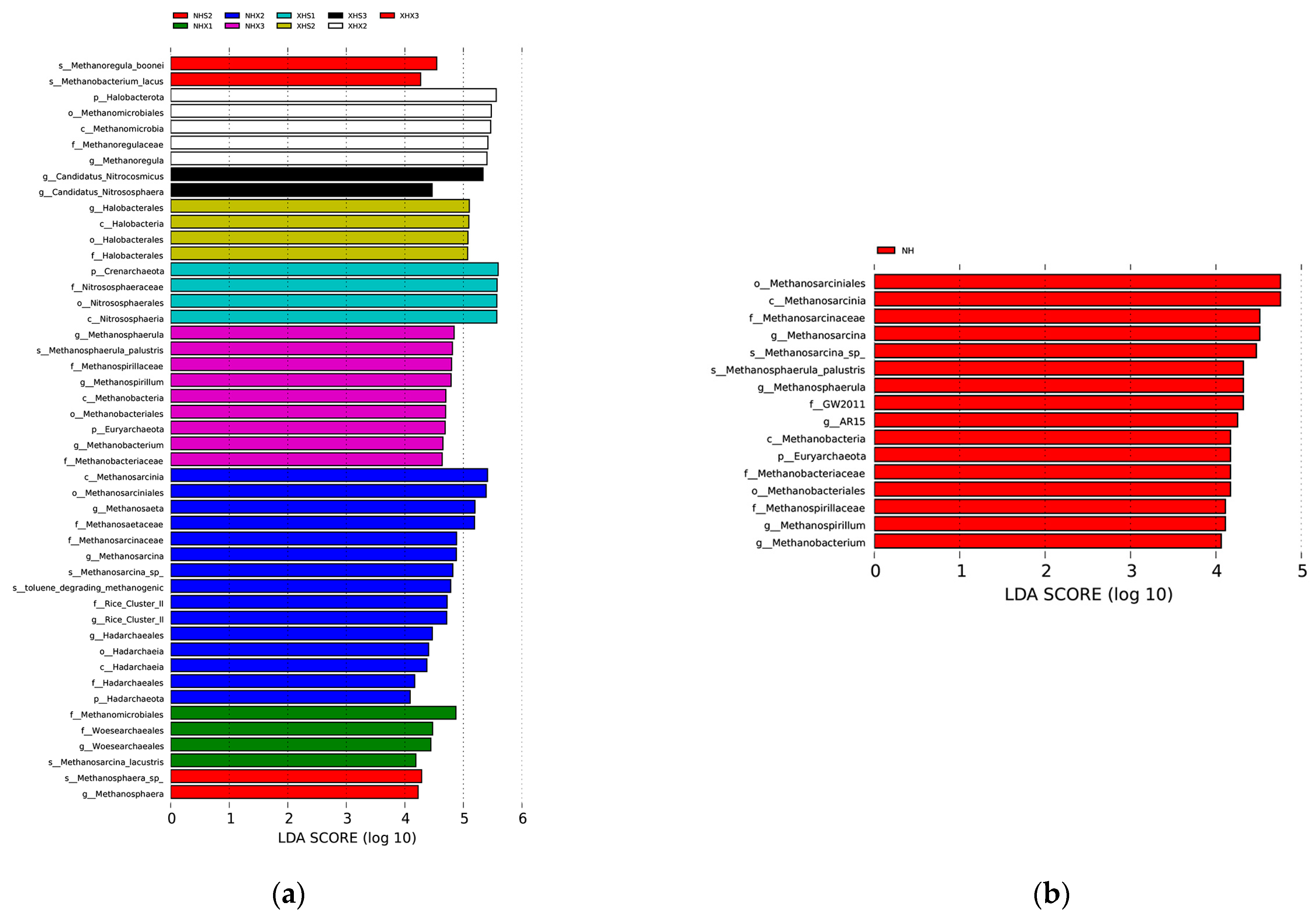 Biology 12 01023 g004 Biology 12 01023 g004