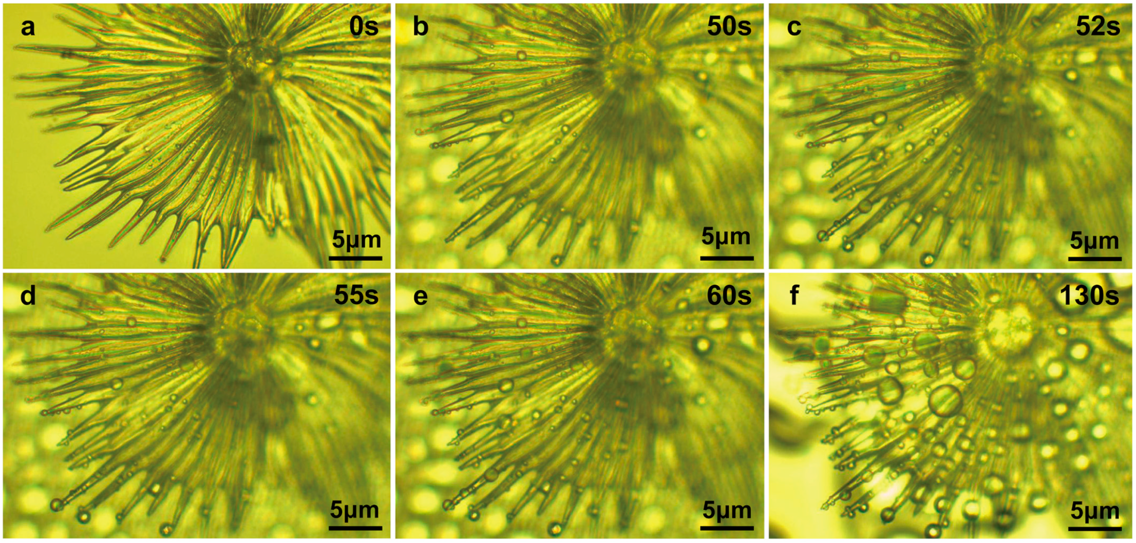 Biology 12 01024 g005