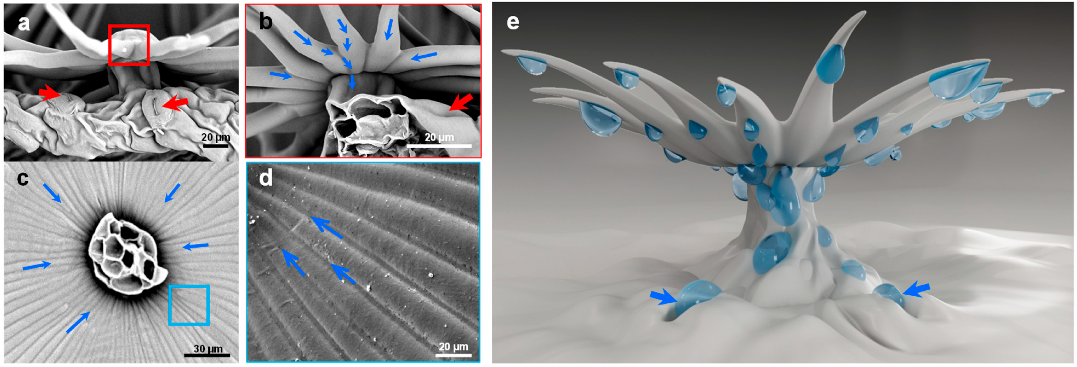 Biology 12 01024 g007