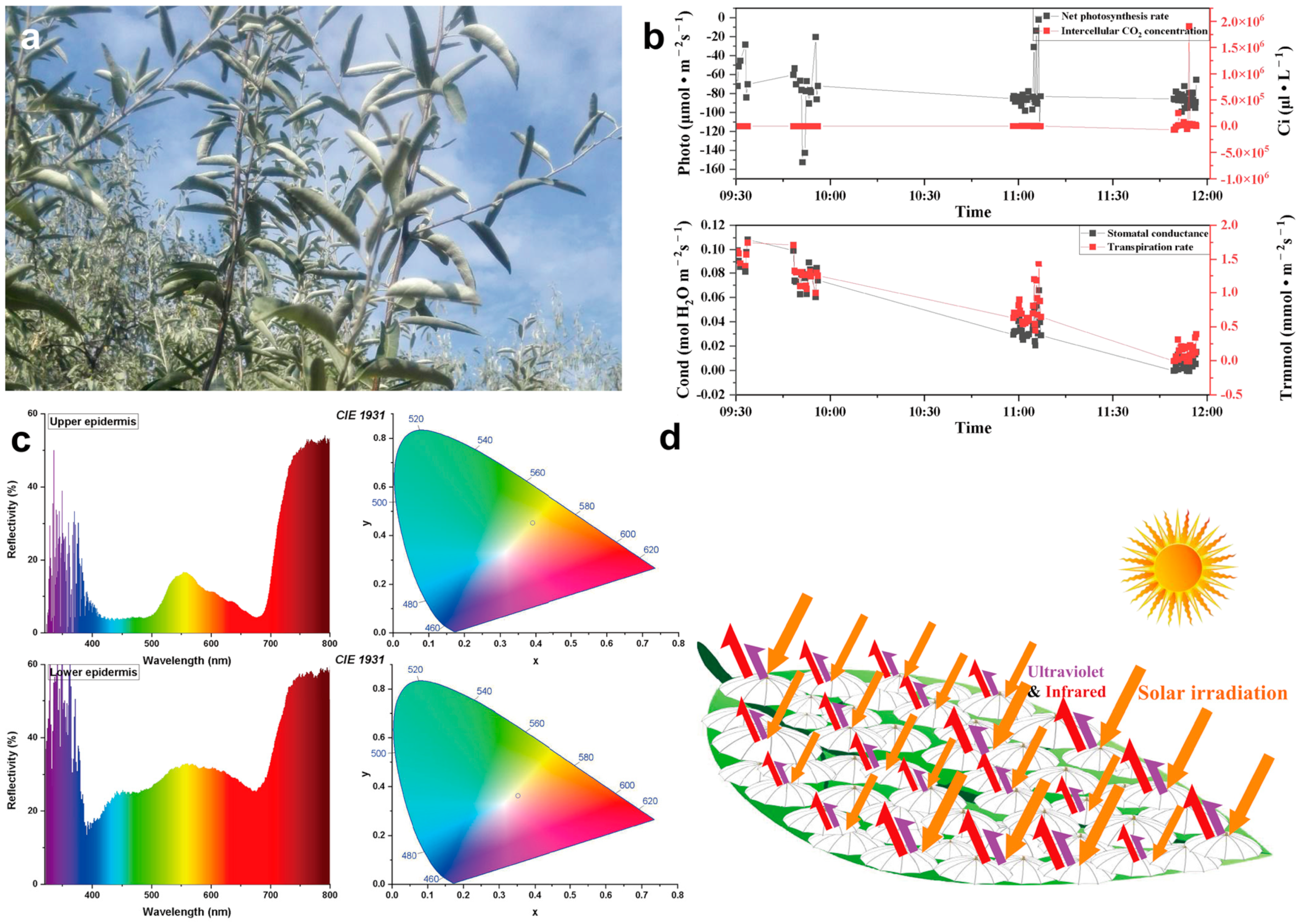Biology 12 01024 g009
