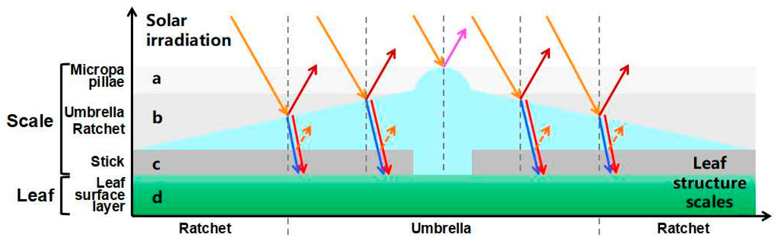 Biology 12 01024 g011