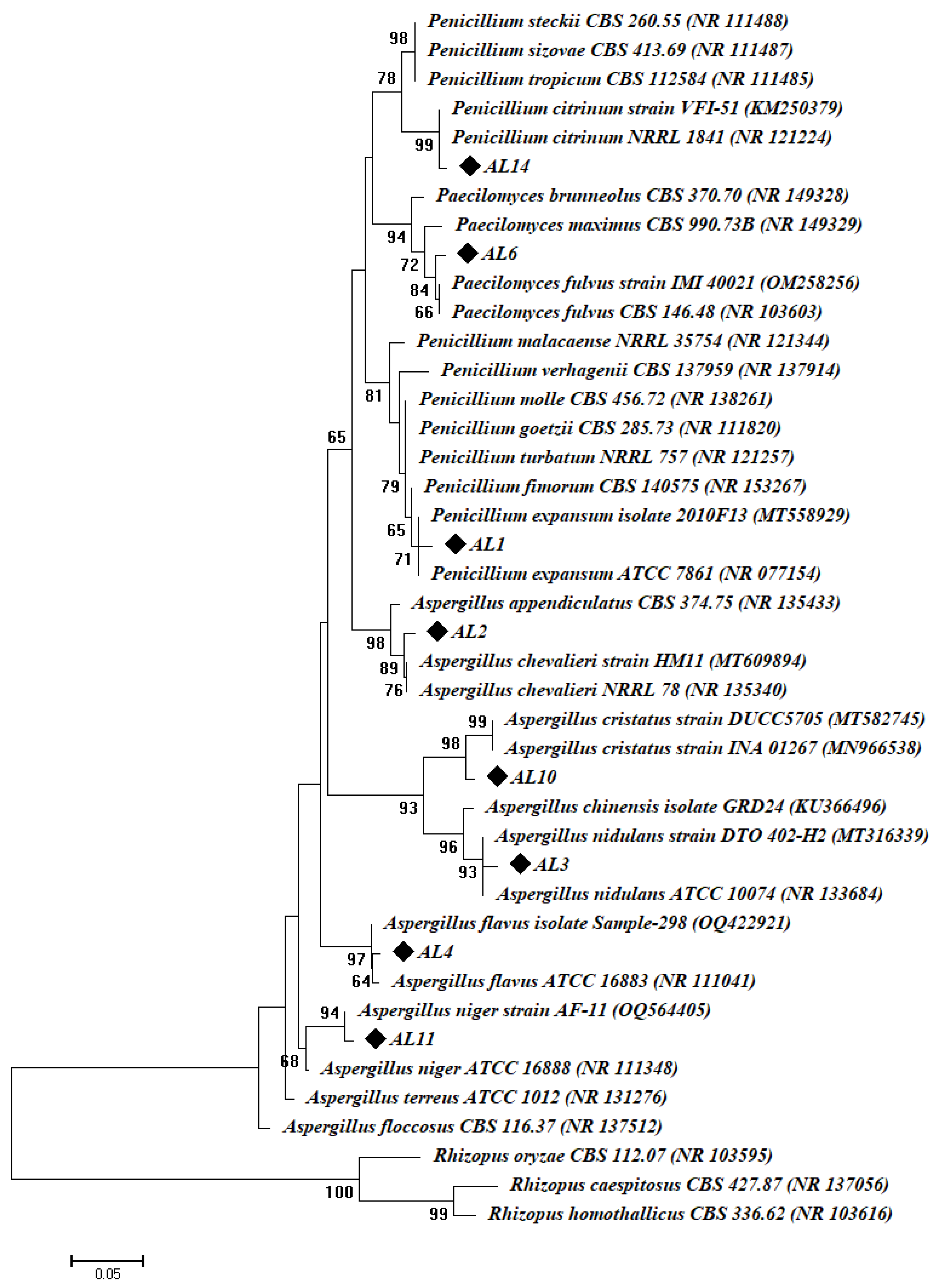 Biology 12 01025 g002 Biology 12 01025 g002
