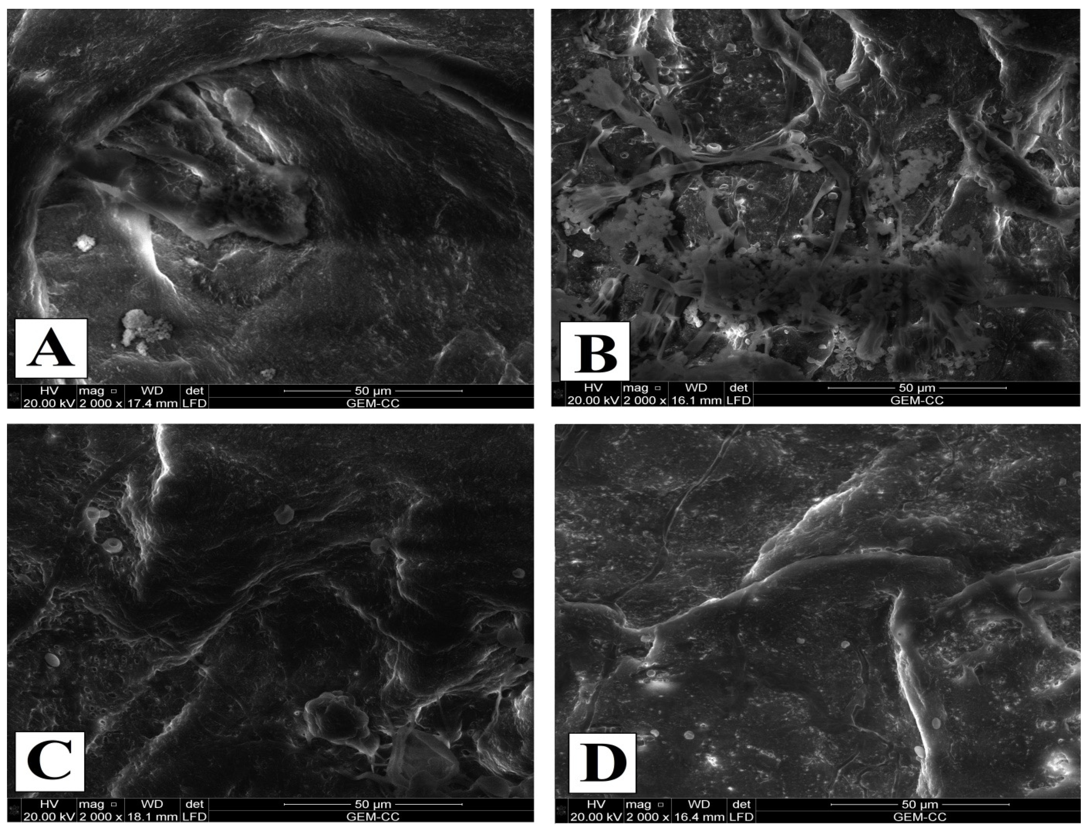 Biology 12 01025 g008 Biology 12 01025 g008