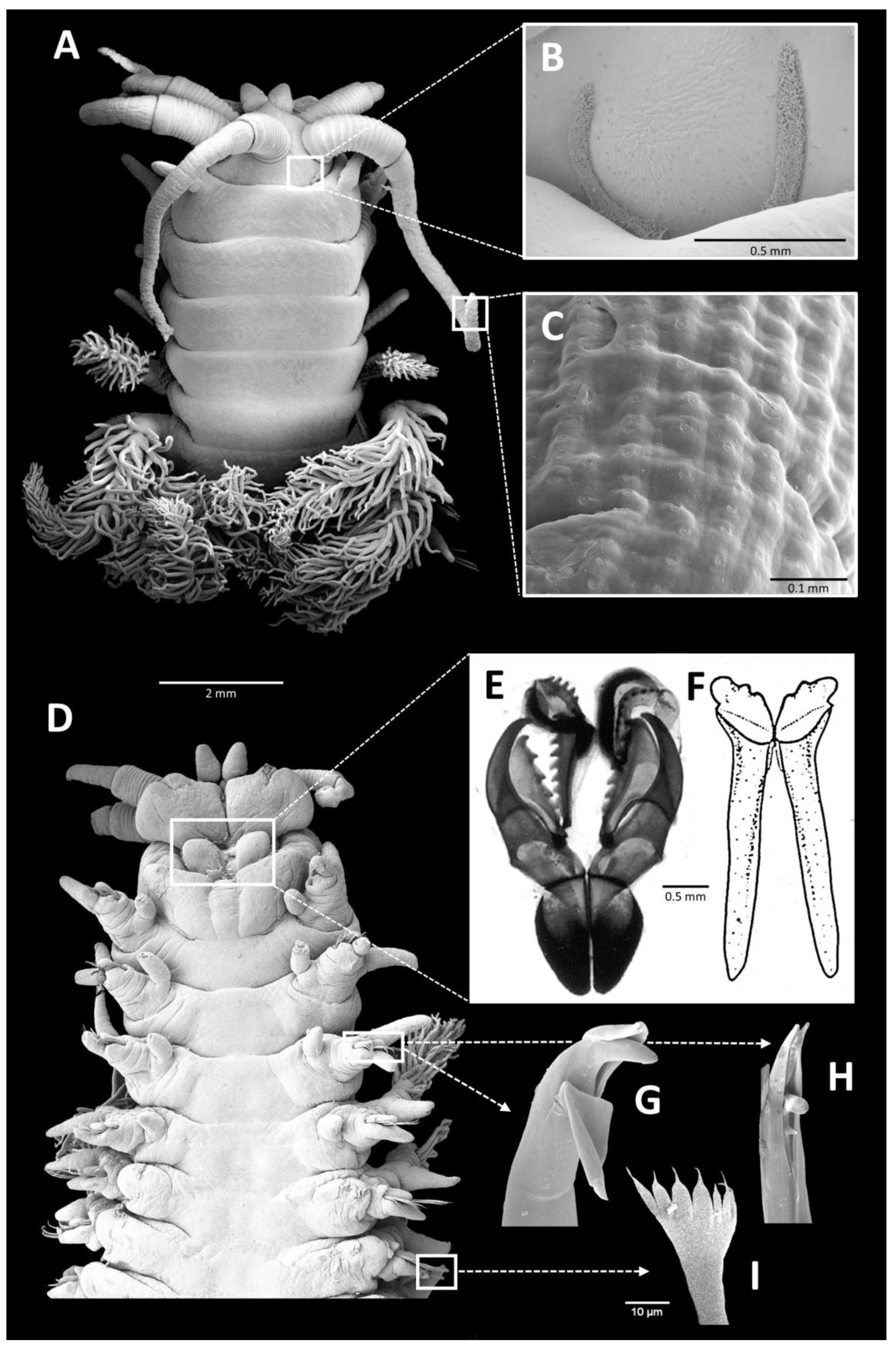 Biology 12 01027 g002 Biology 12 01027 g002