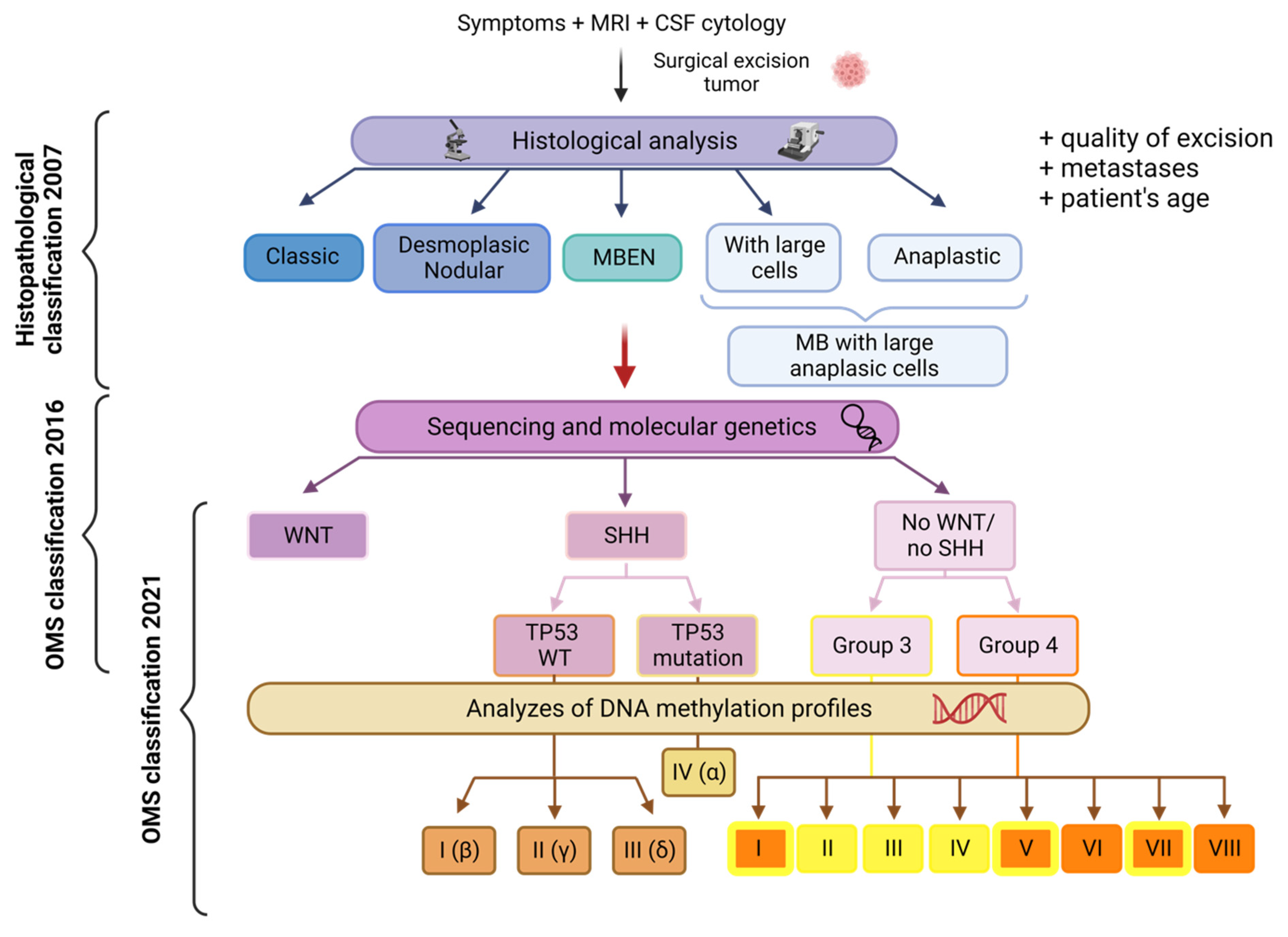 Biology 12 01028 g001
