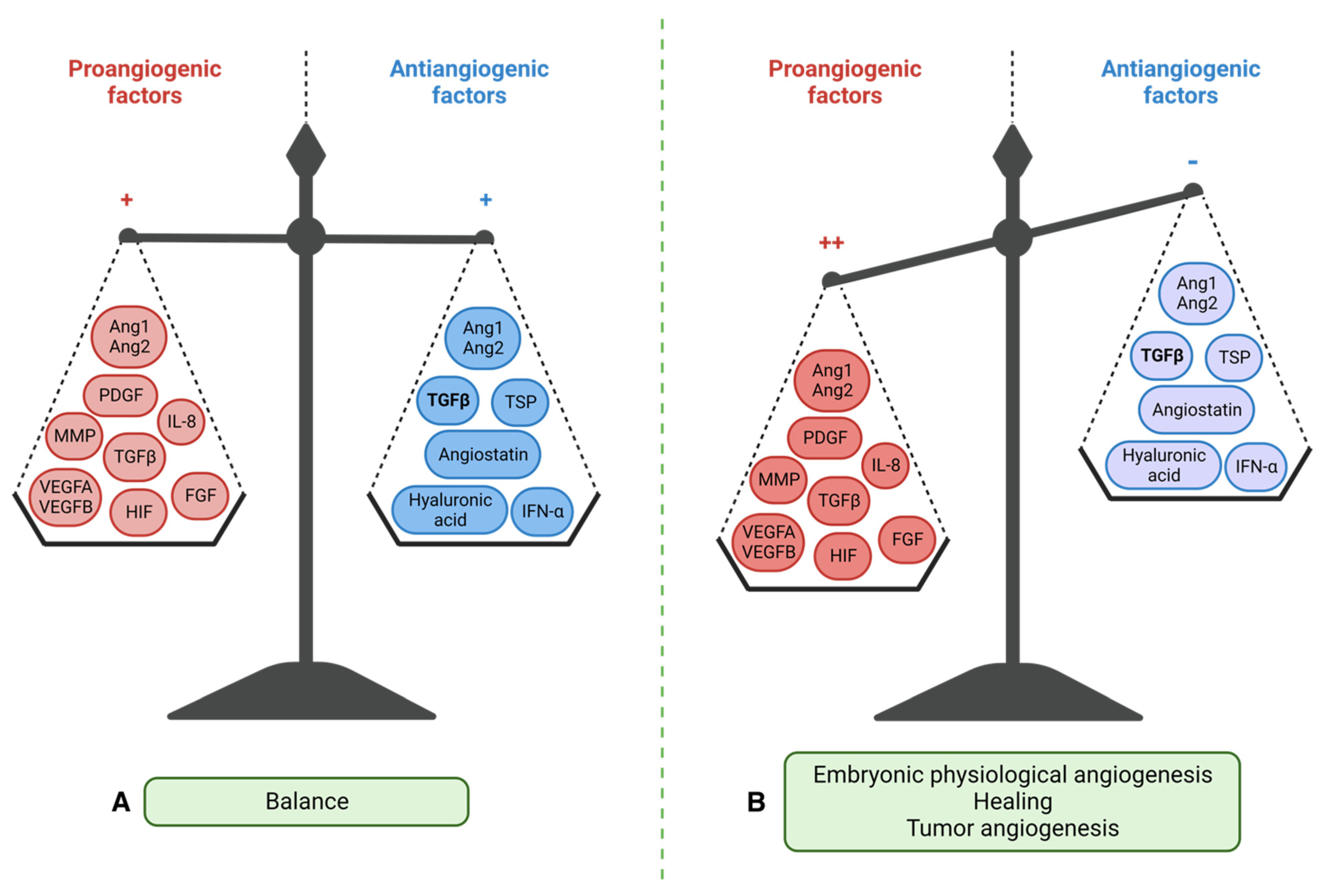 Biology 12 01028 g002