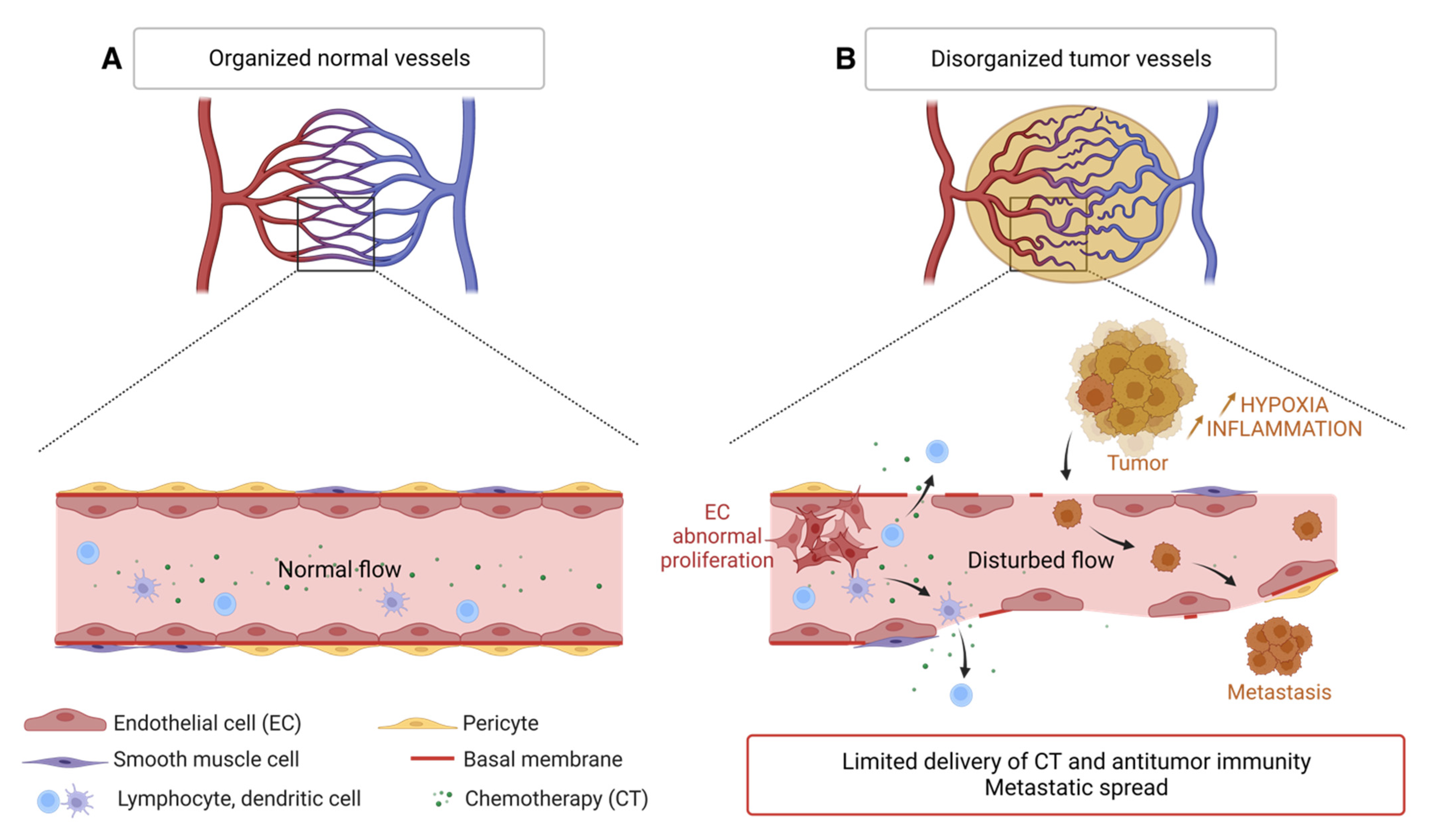 Biology 12 01028 g003