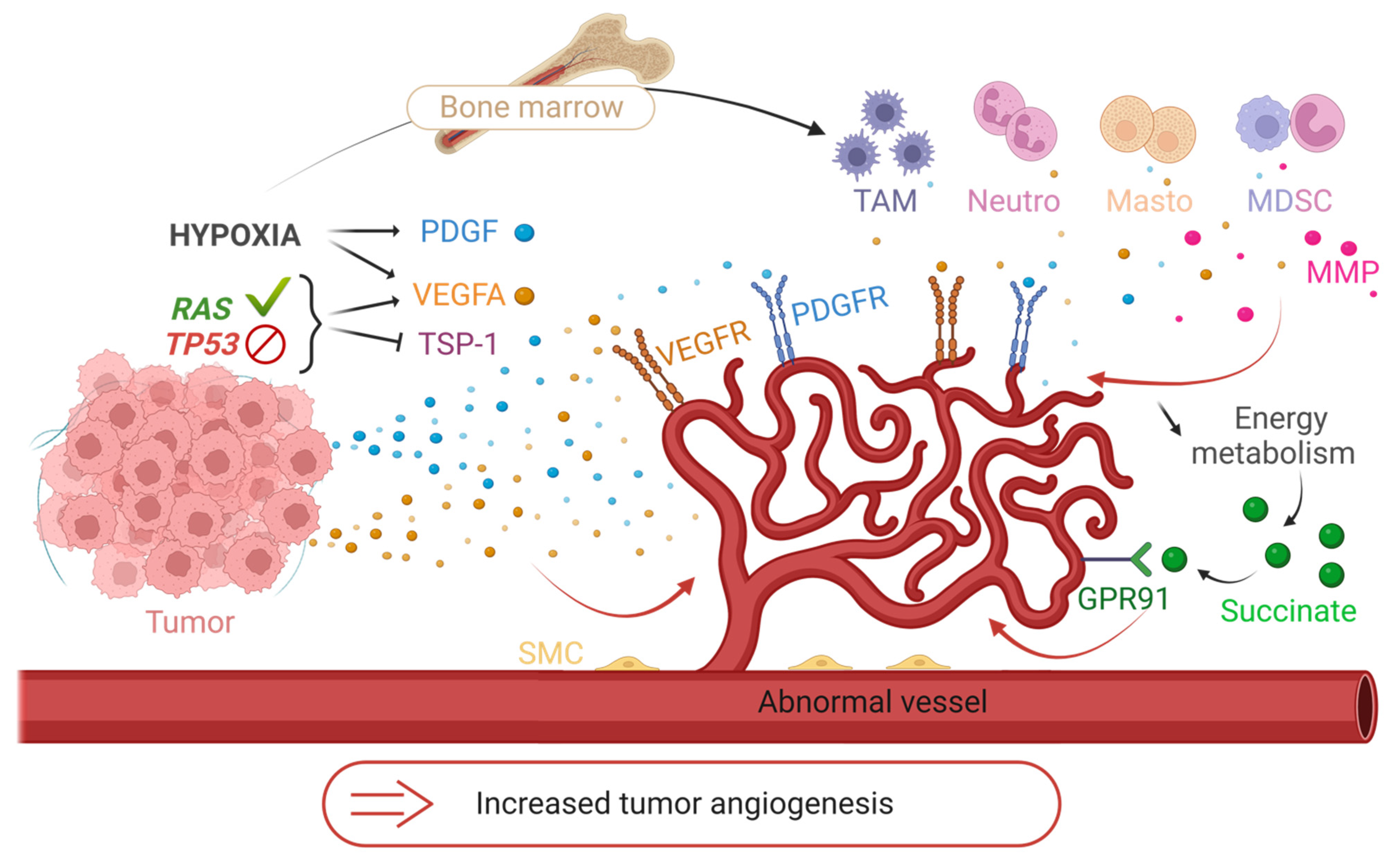 Biology 12 01028 g004