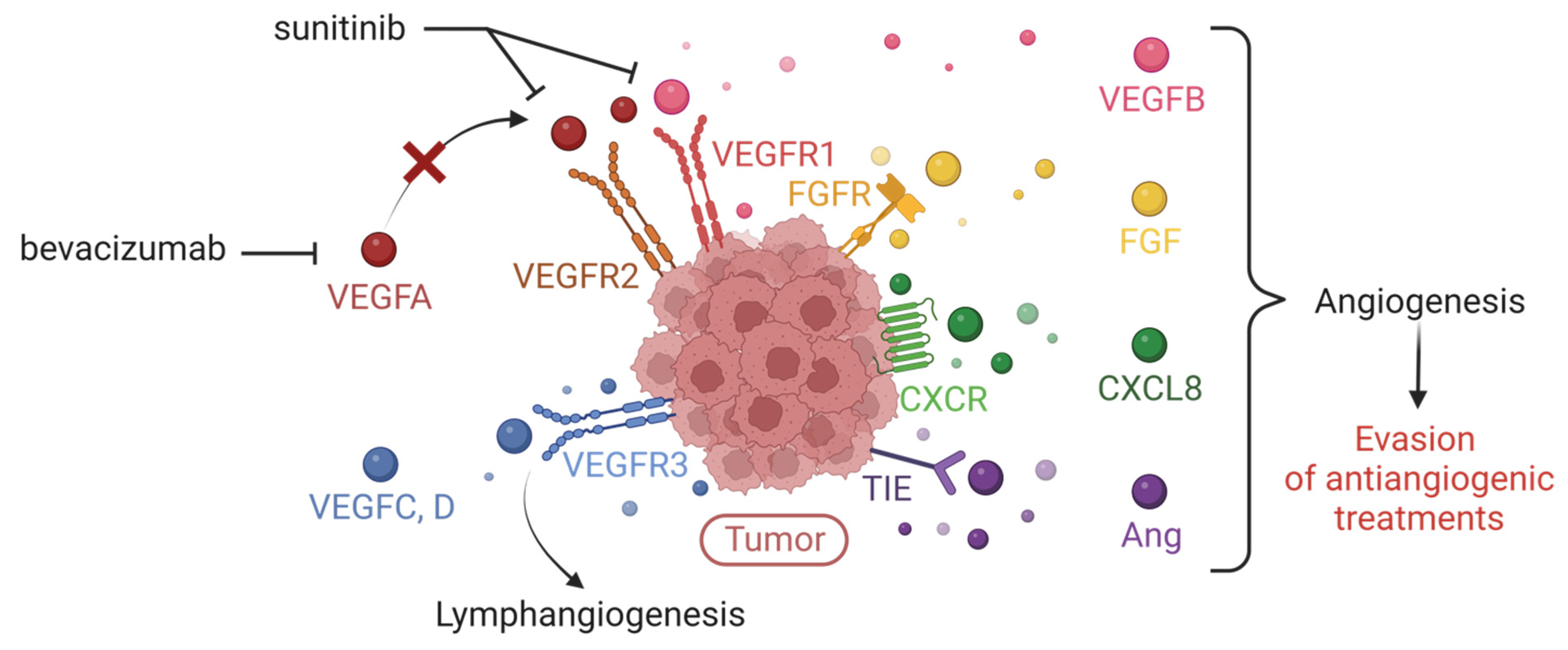 Biology 12 01028 g005