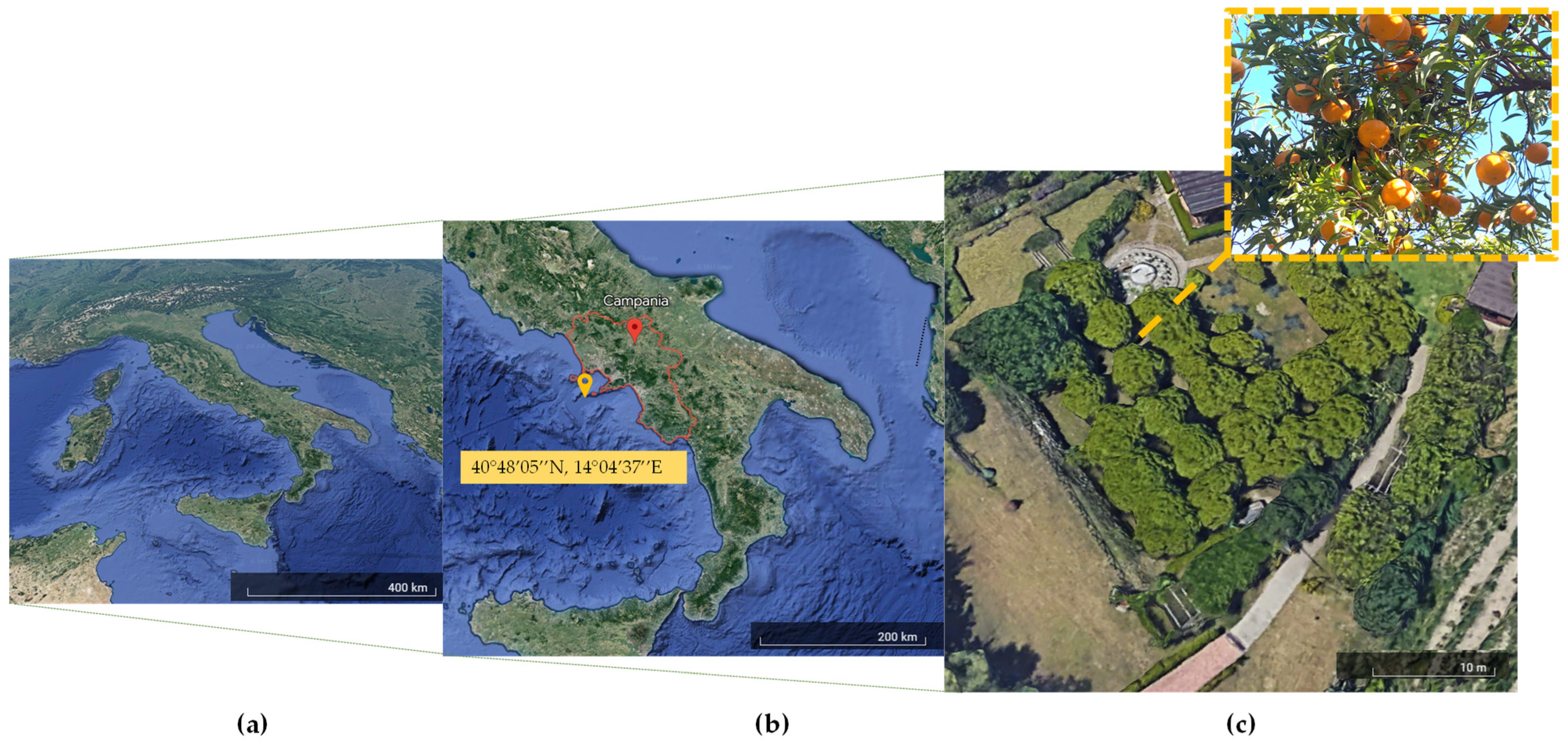 Biology 12 01029 g001 Biology 12 01029 g001