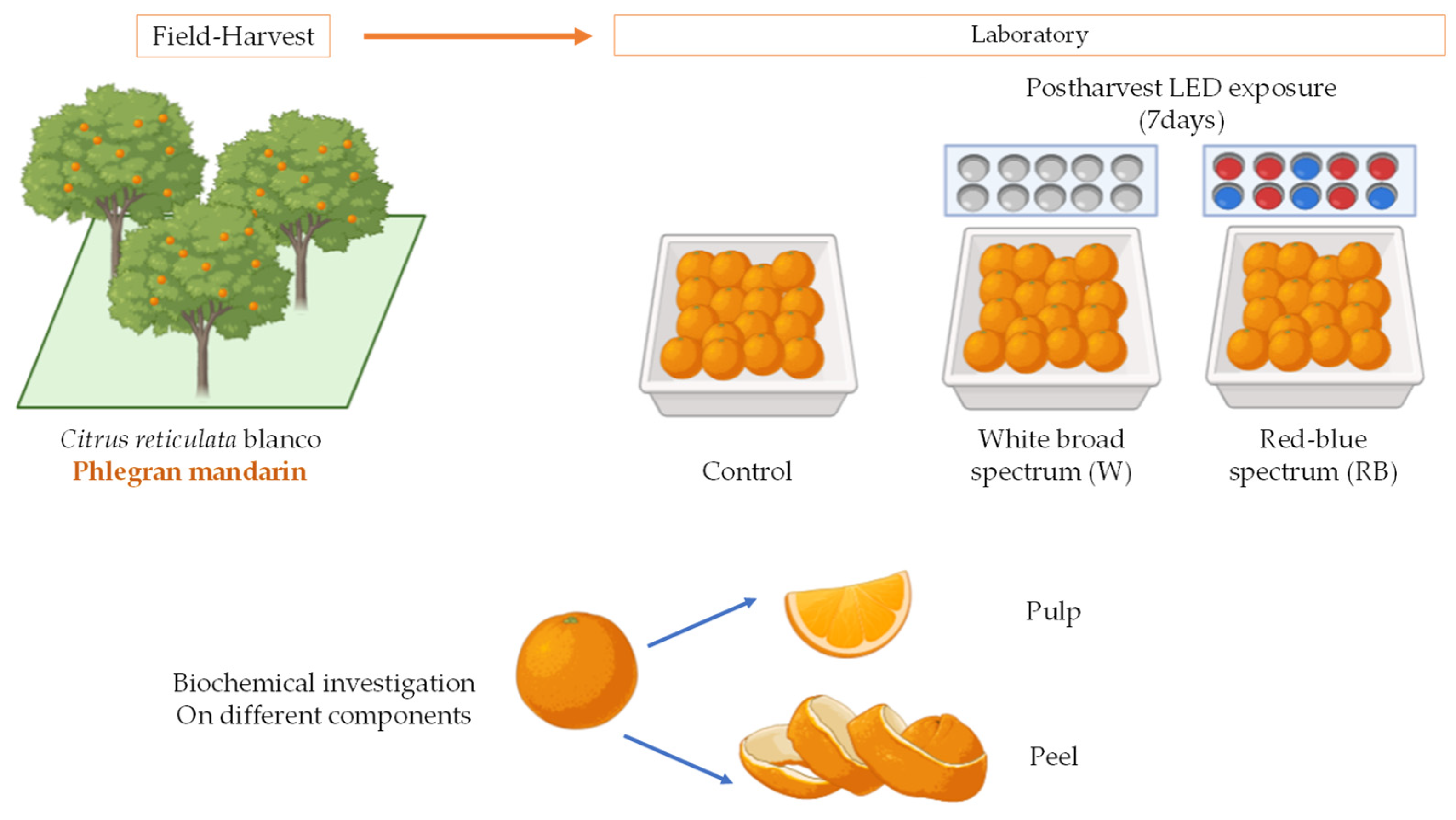 Biology 12 01029 g002 Biology 12 01029 g002