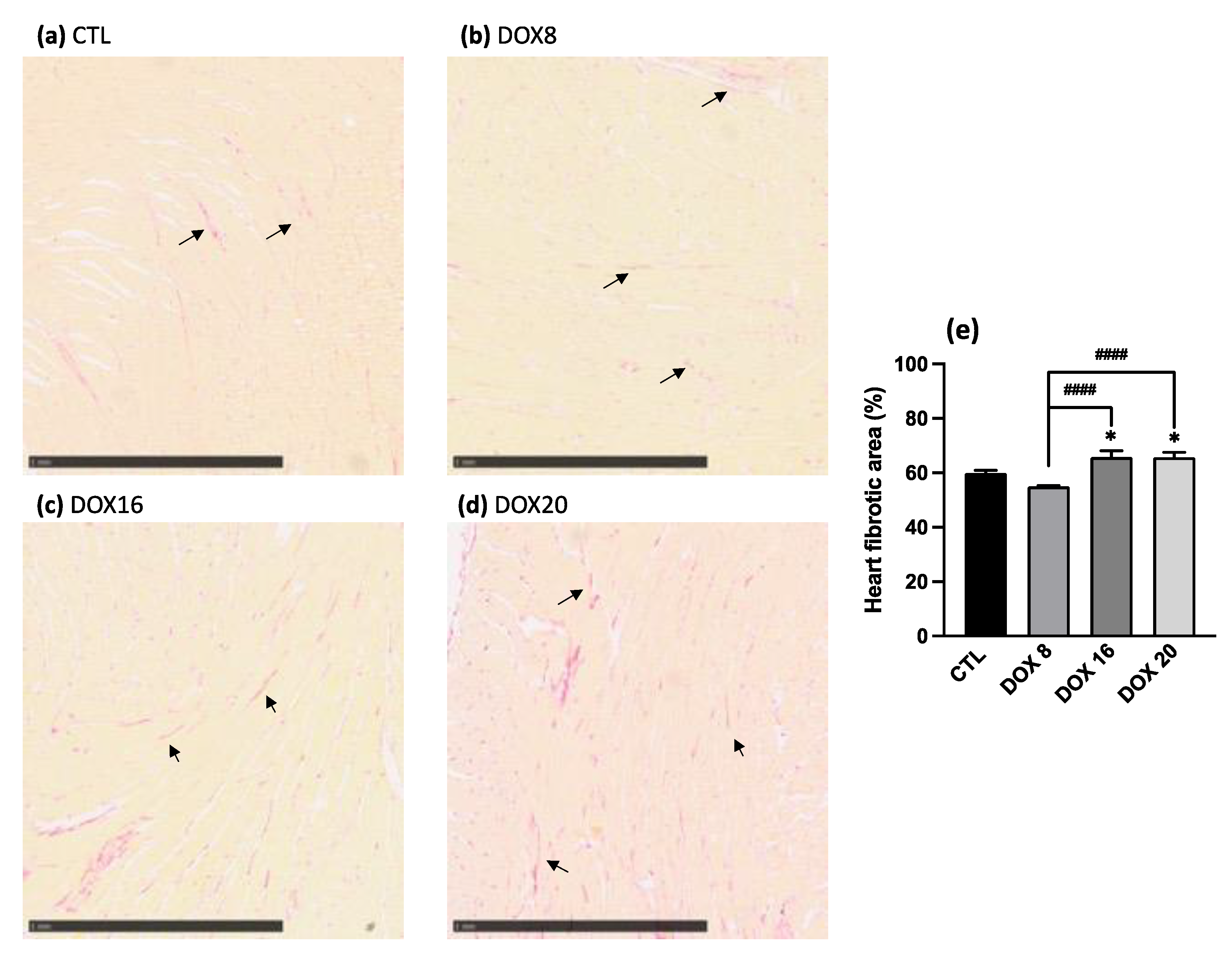 Biology 12 01031 g005 Biology 12 01031 g005