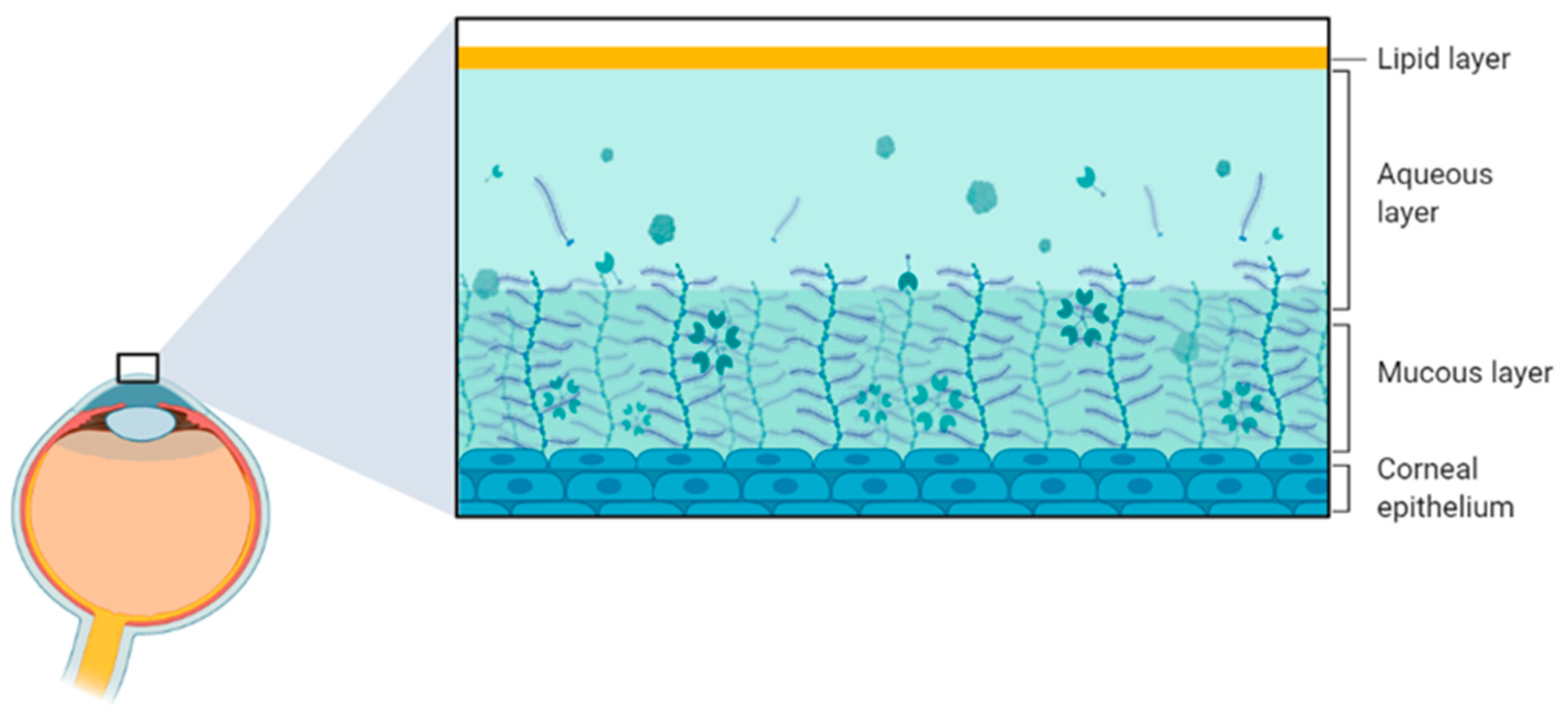 Biology 12 01036 g003 Biology 12 01036 g003
