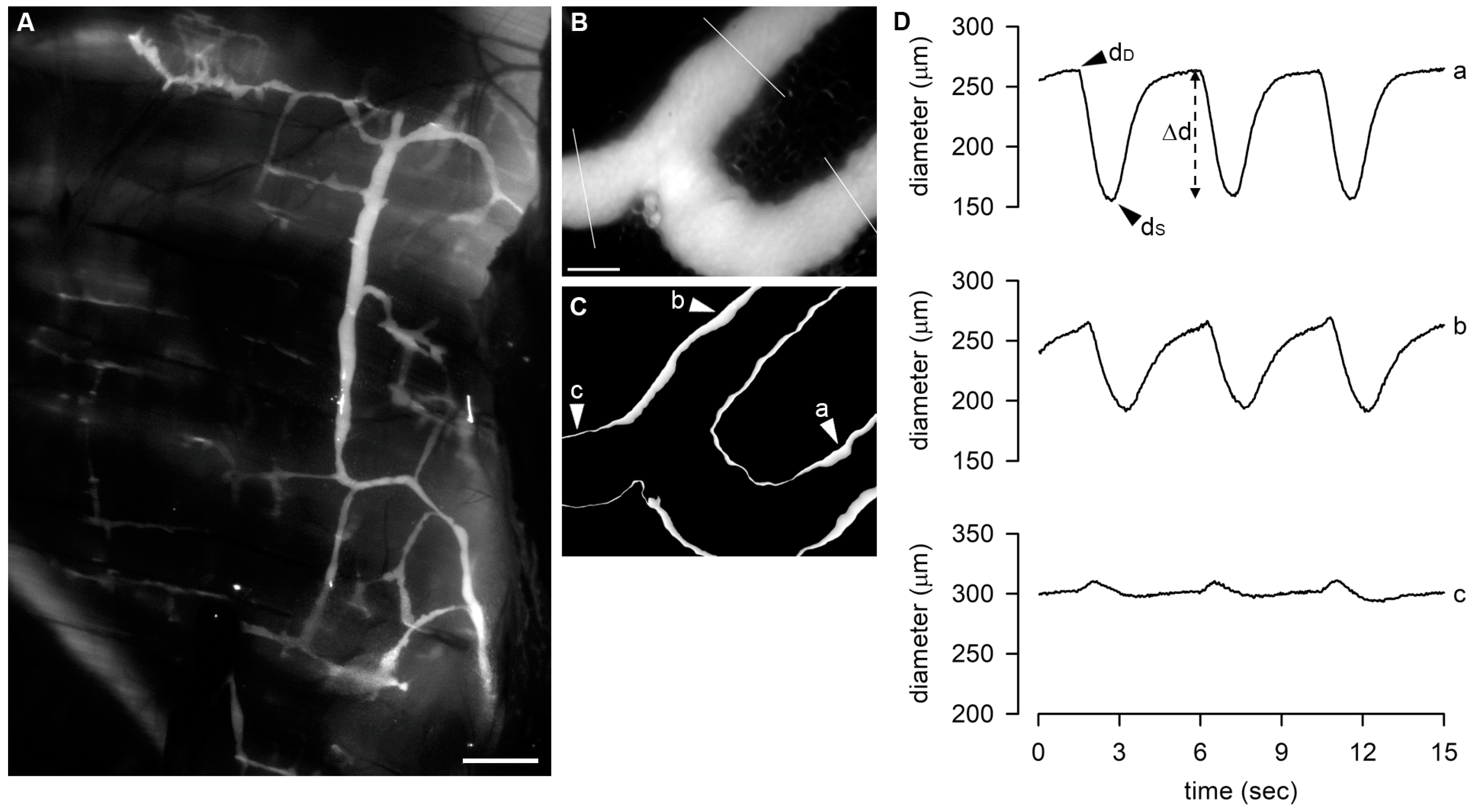 Biology 12 01039 g001 Biology 12 01039 g001