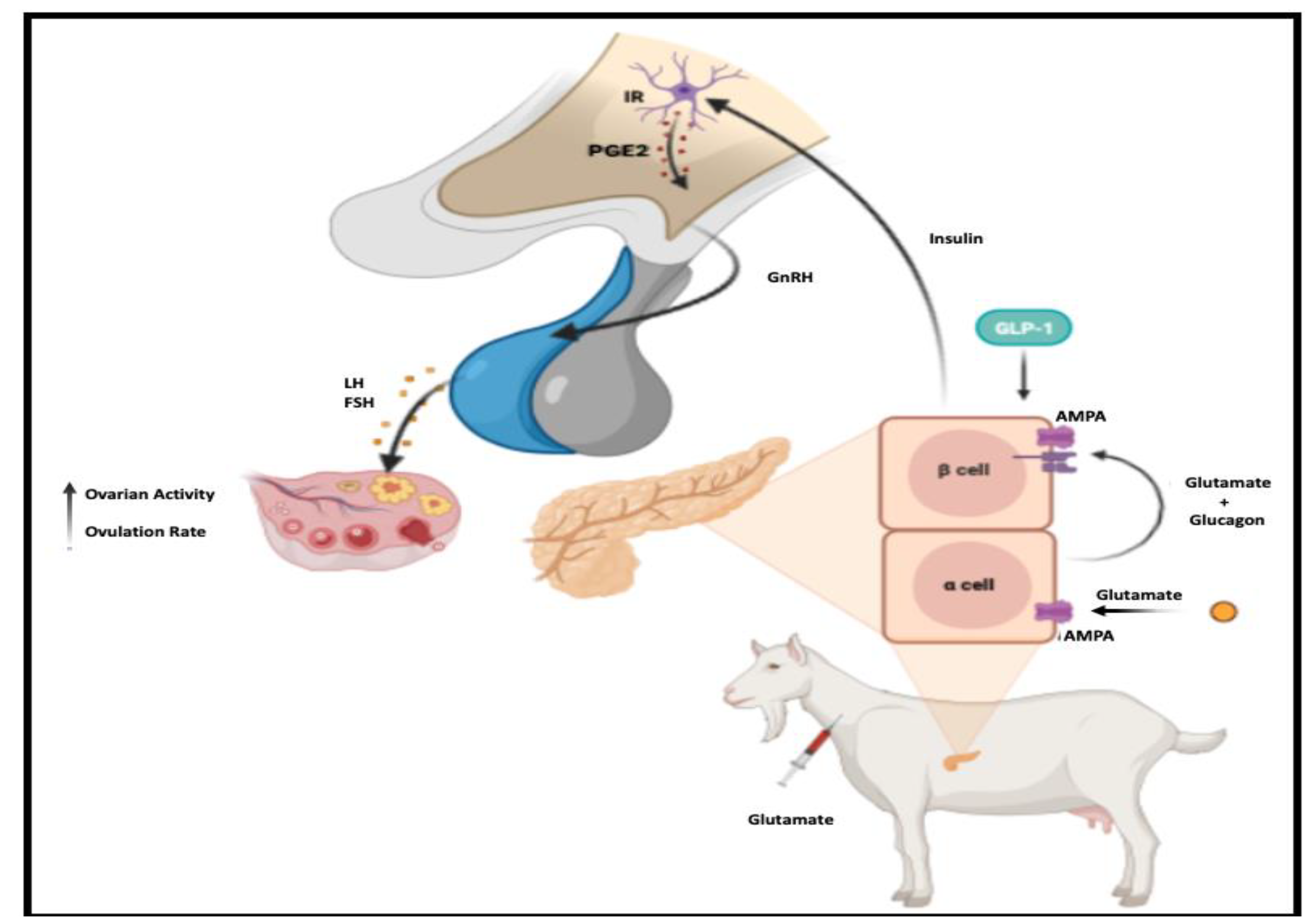 Biology 12 01041 g003 Biology 12 01041 g003