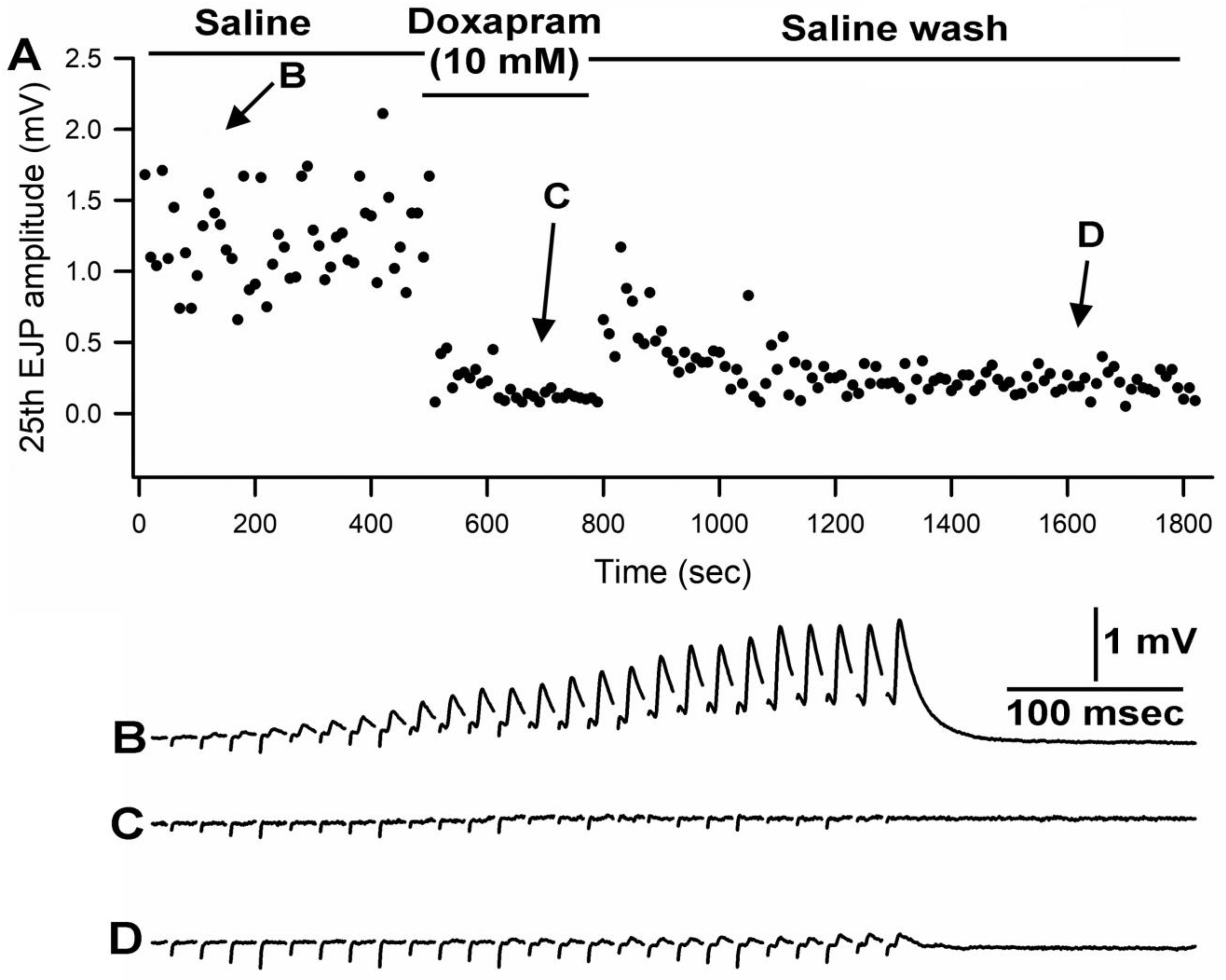 Biology 12 01046 g002 Biology 12 01046 g002