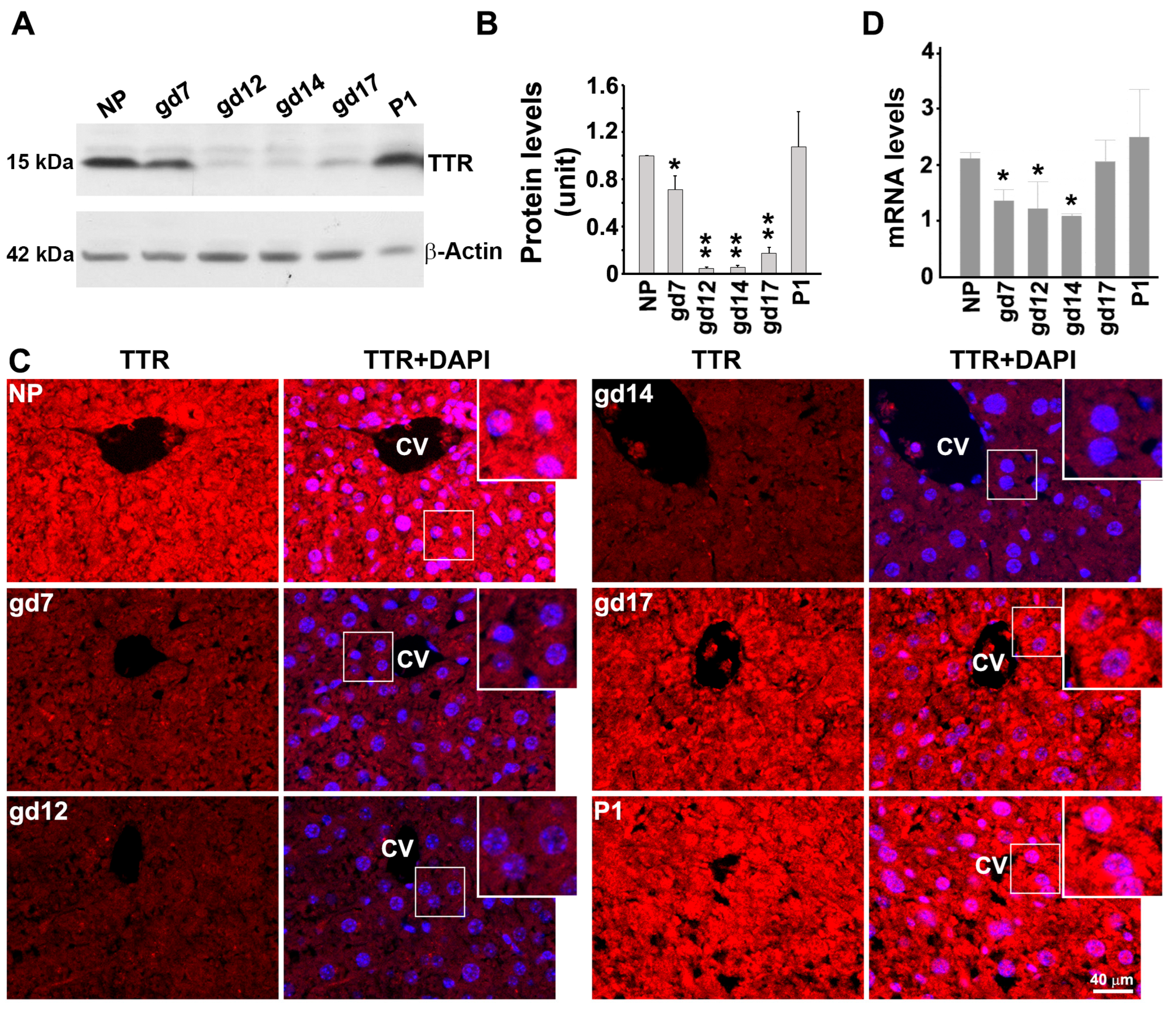 Biology 12 01048 g003