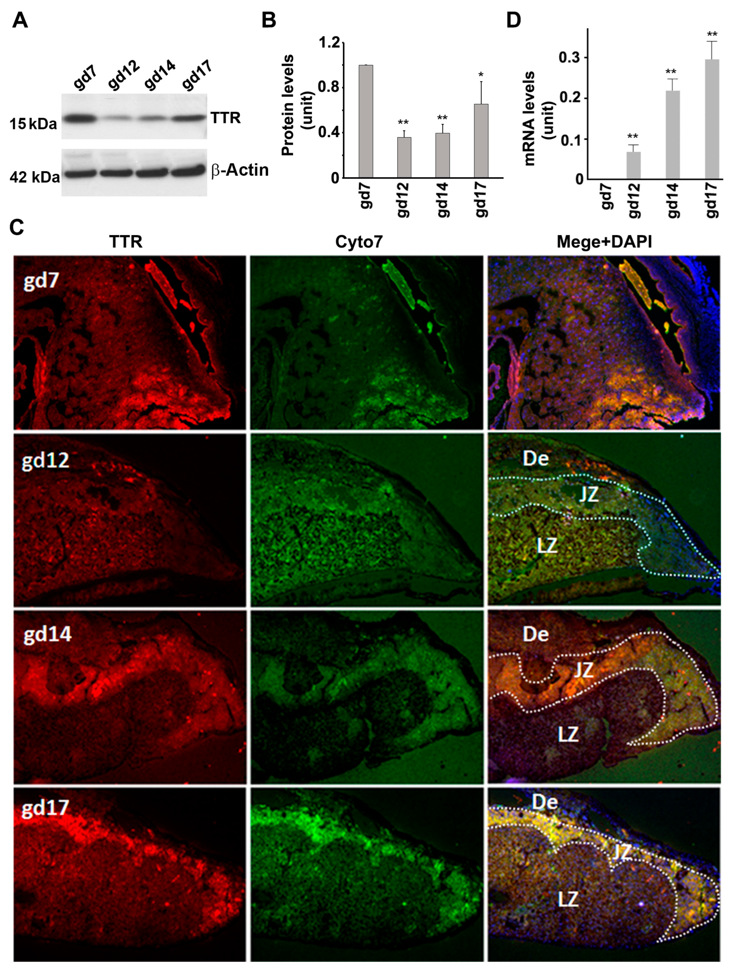 Biology 12 01048 g004