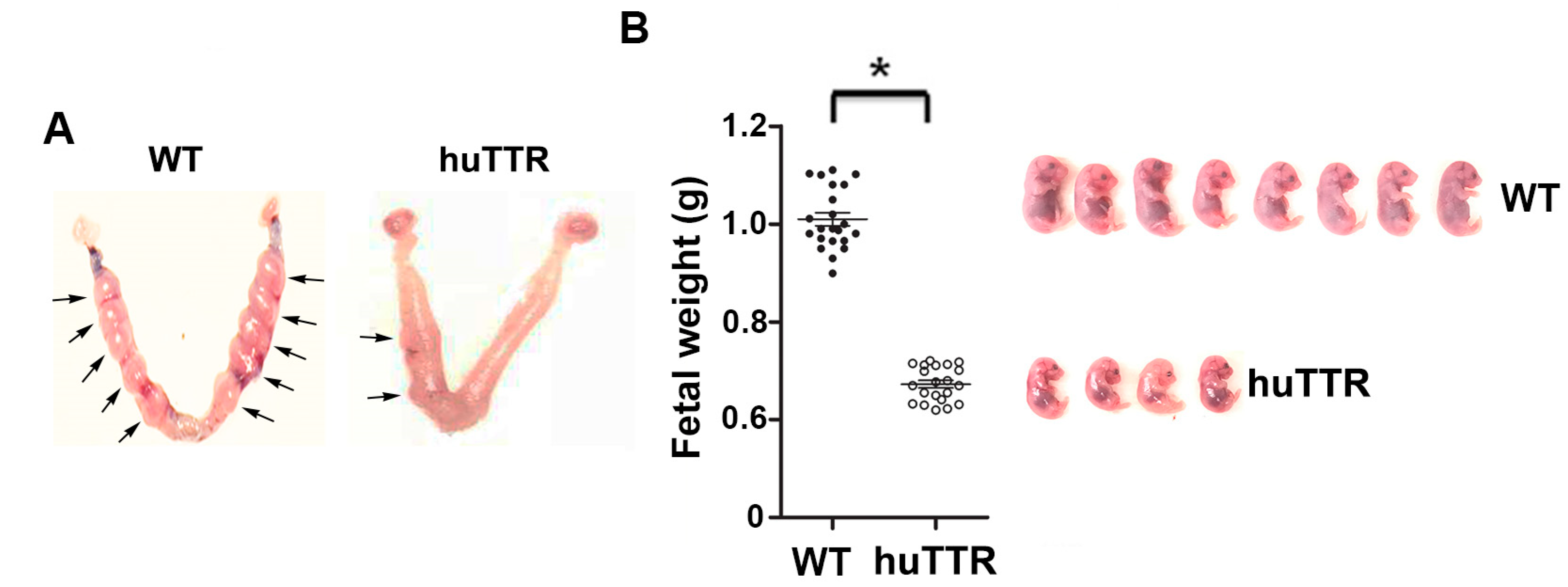 Biology 12 01048 g006