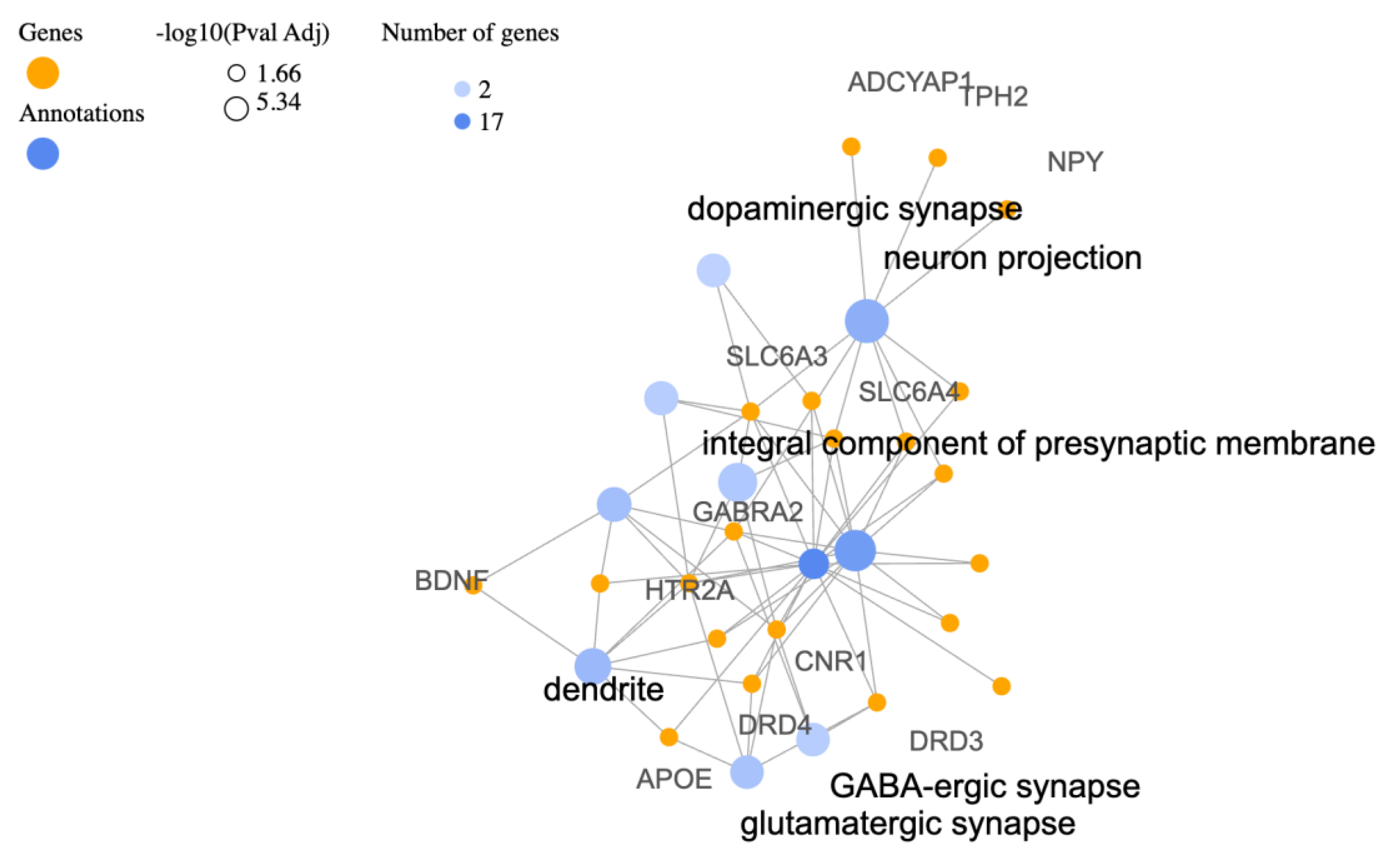 Biology 12 01050 g002 550