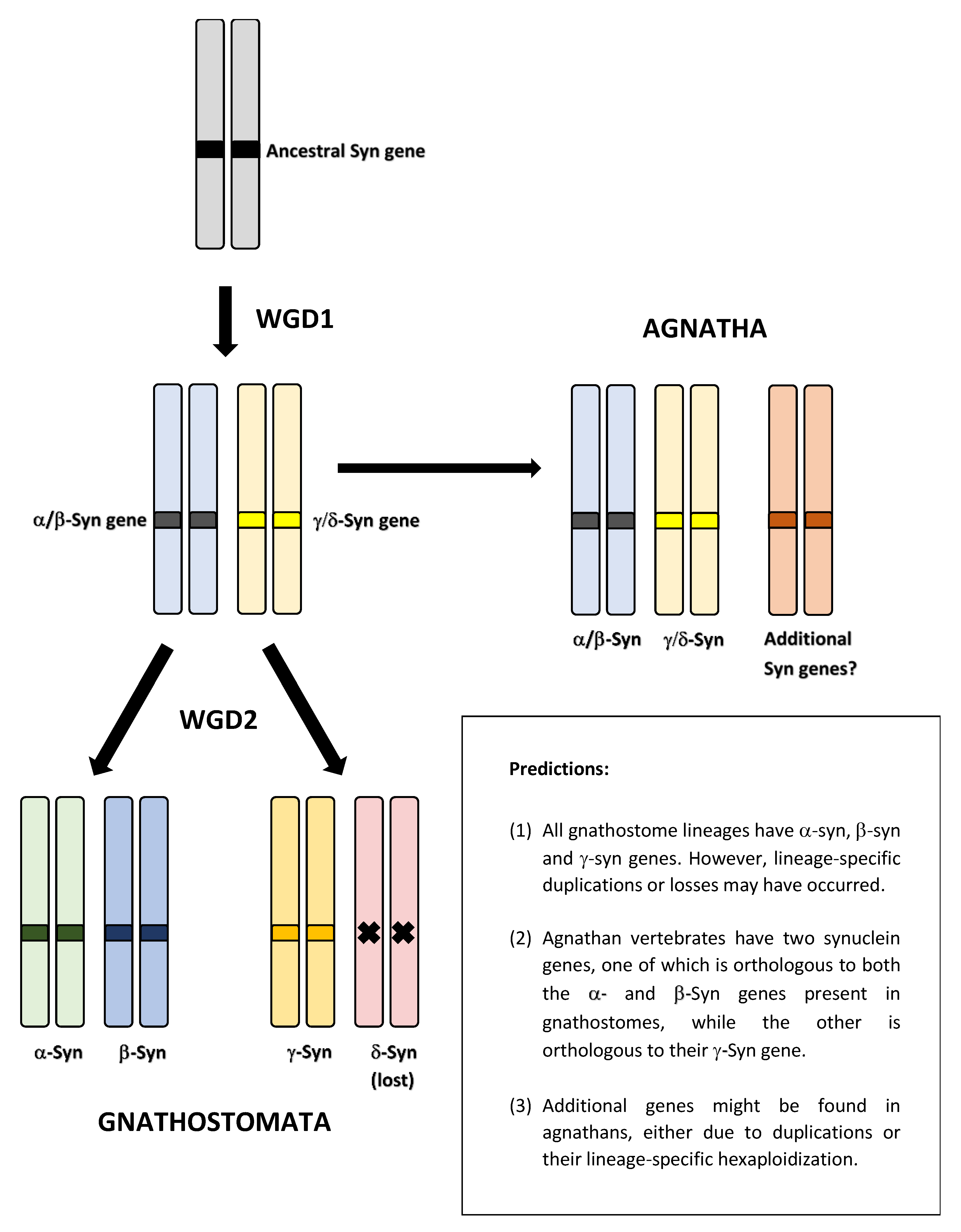 Biology 12 01053 g001 Biology 12 01053 g001