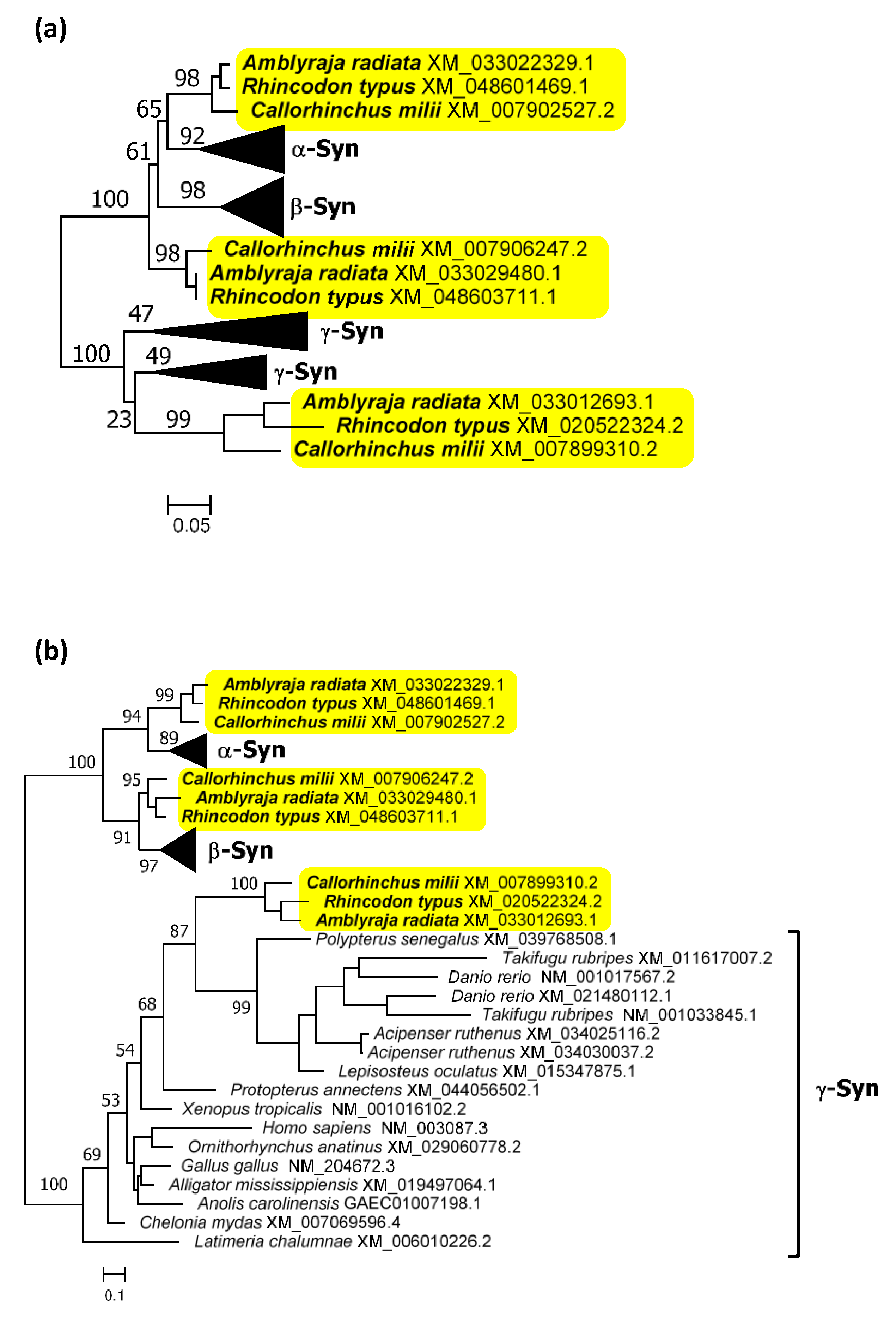 Biology 12 01053 g002 Biology 12 01053 g002