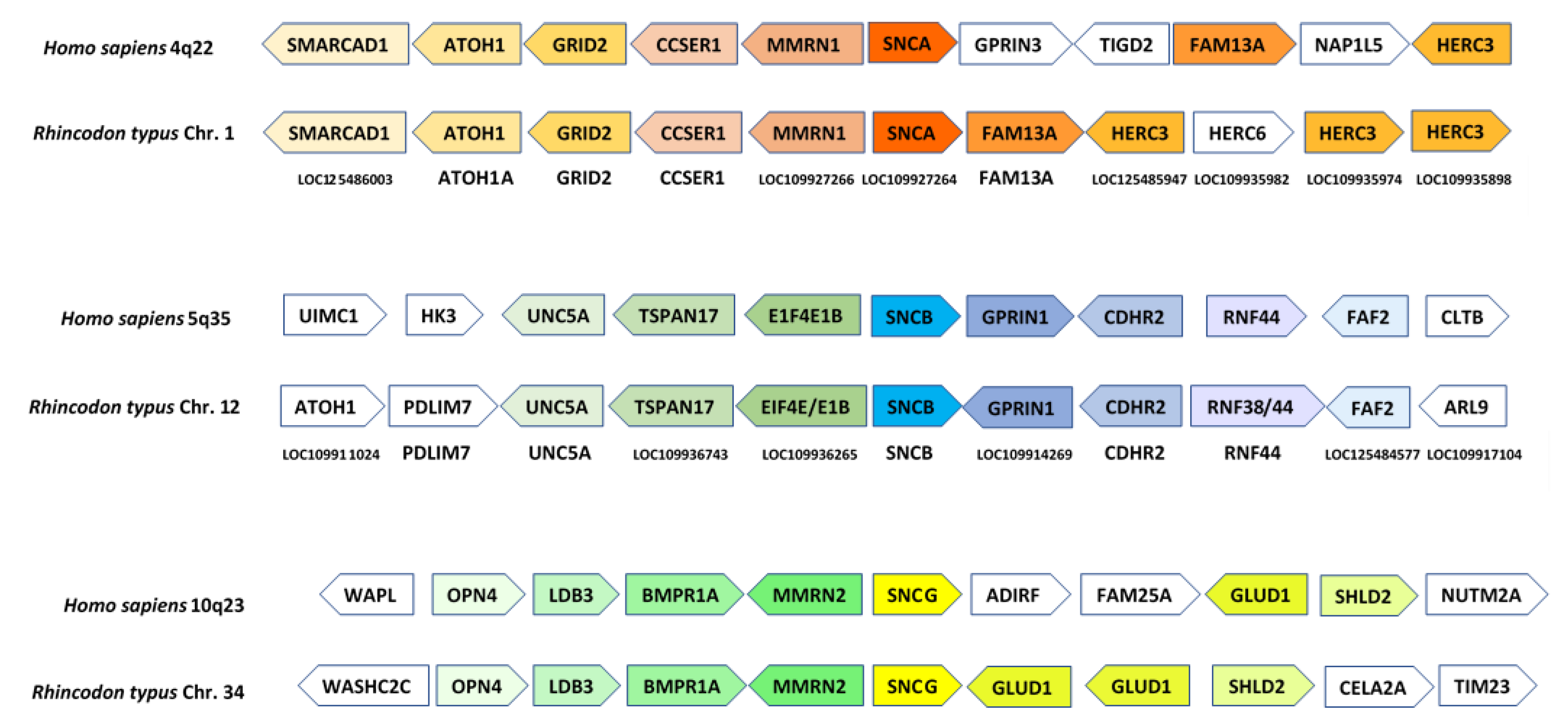 Biology 12 01053 g003 Biology 12 01053 g003