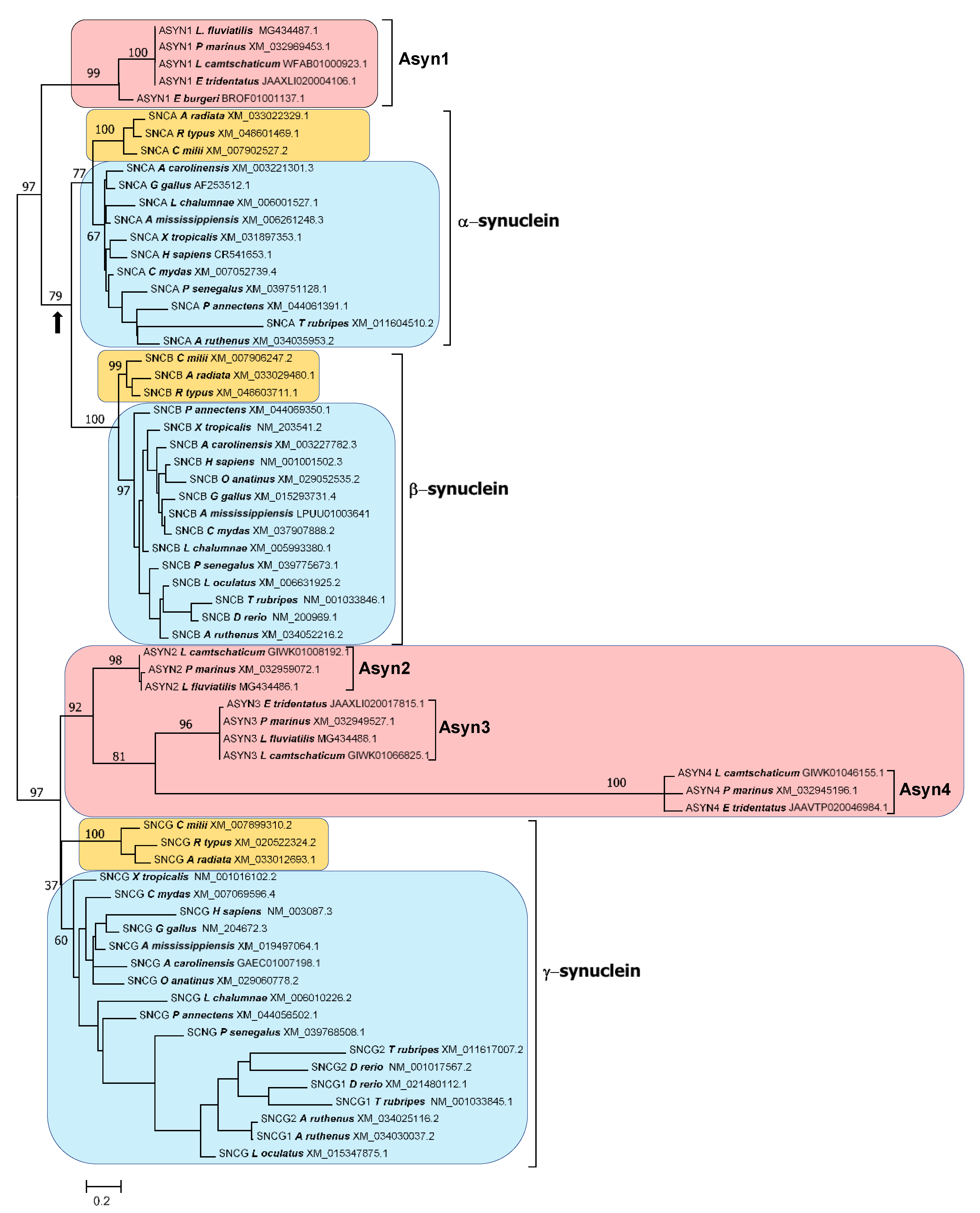 Biology 12 01053 g005 Biology 12 01053 g005