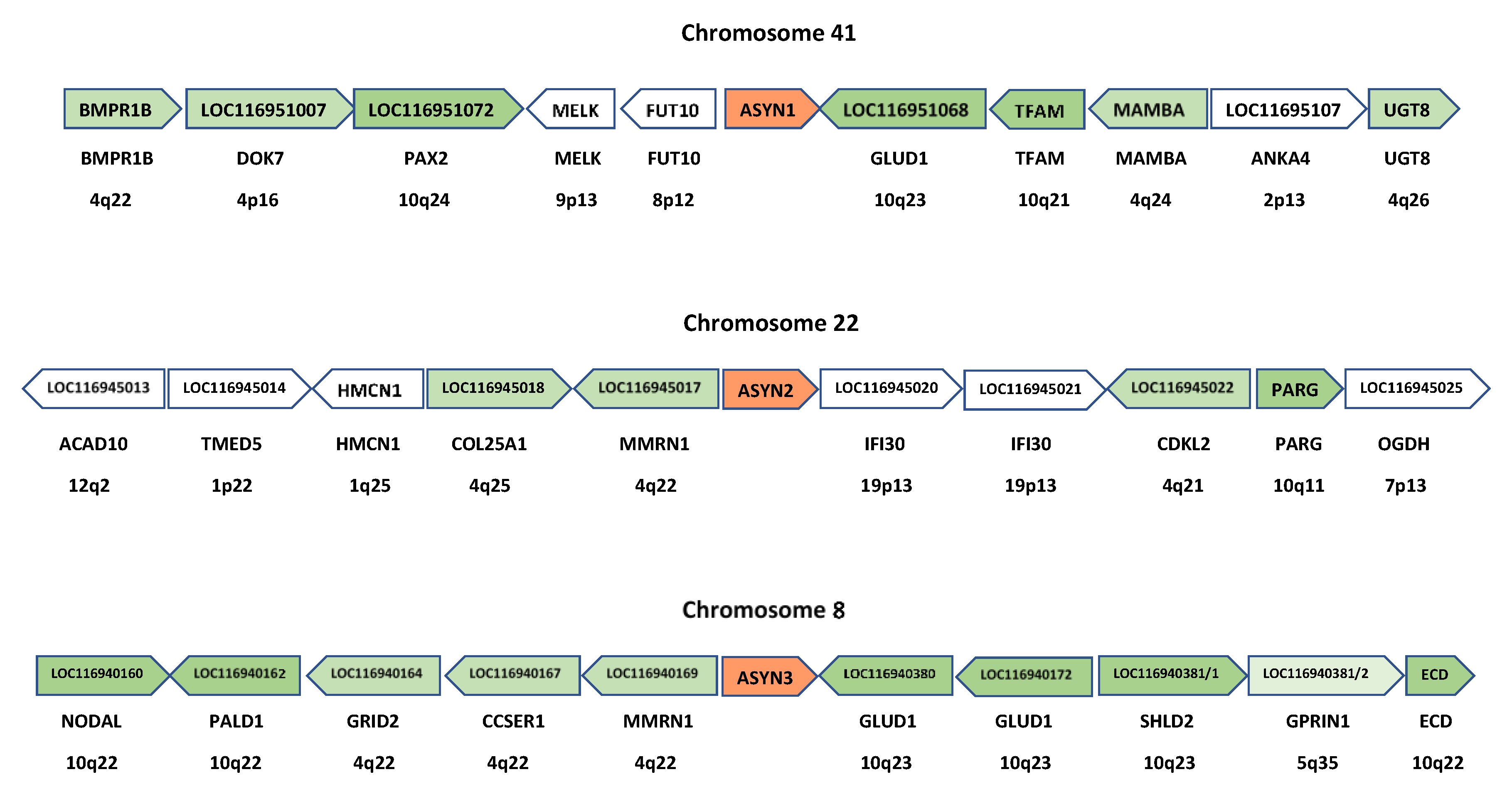 Biology 12 01053 g006 Biology 12 01053 g006
