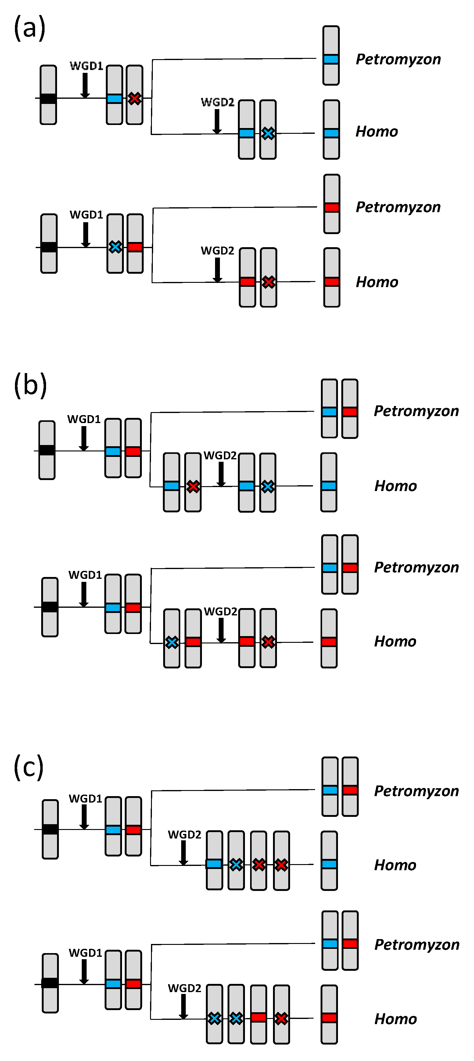 Biology 12 01053 g007 Biology 12 01053 g007