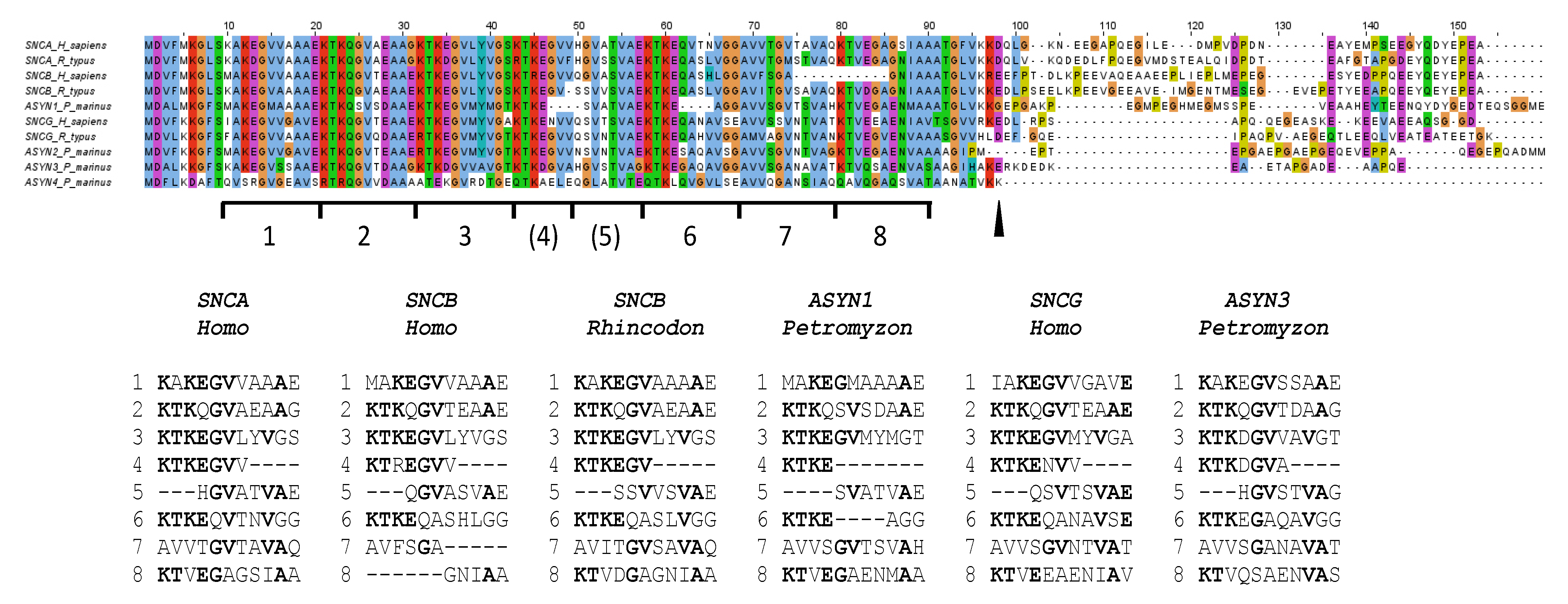 Biology 12 01053 g008 Biology 12 01053 g008