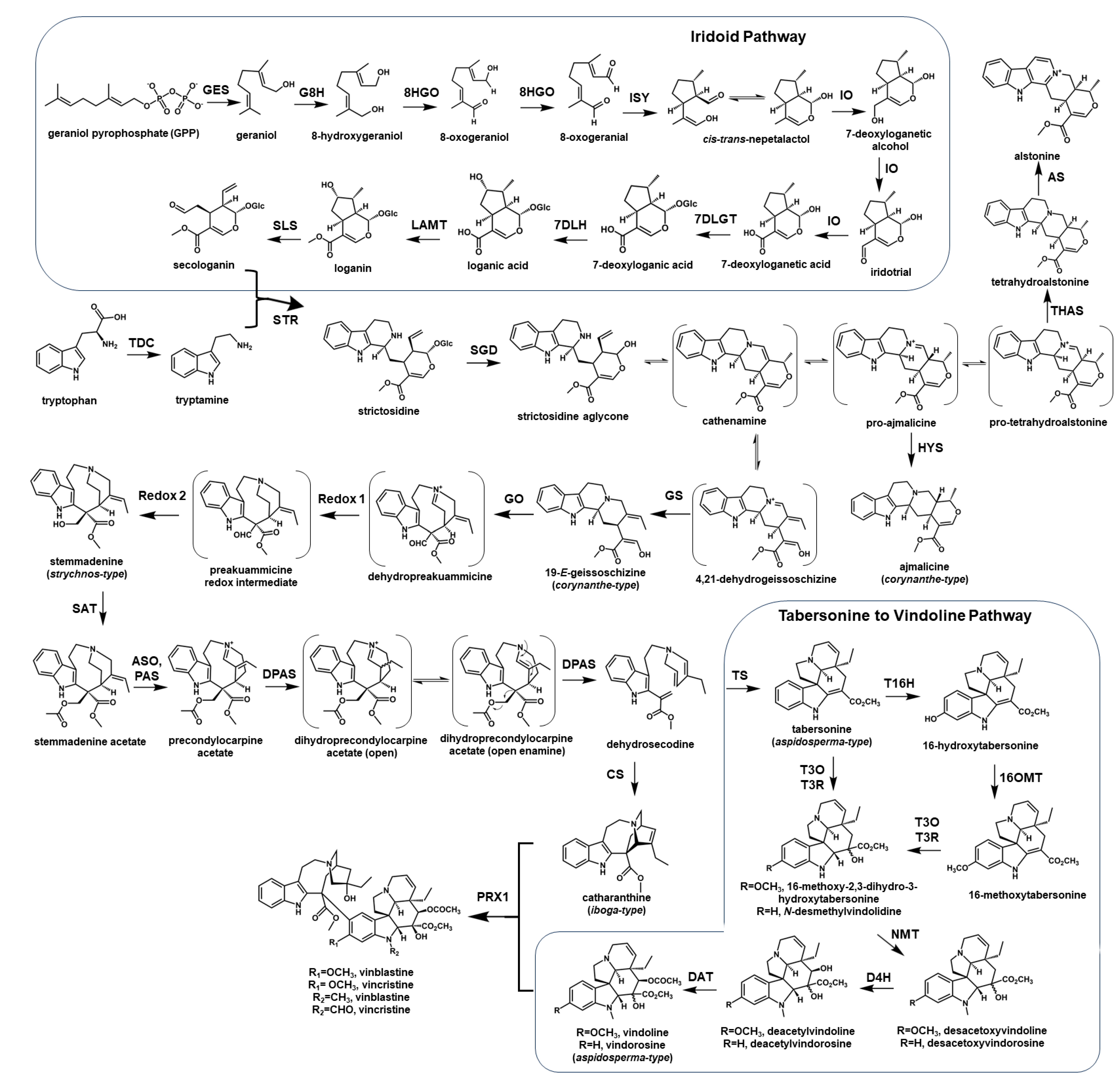Biology 12 01056 g001 Biology 12 01056 g001