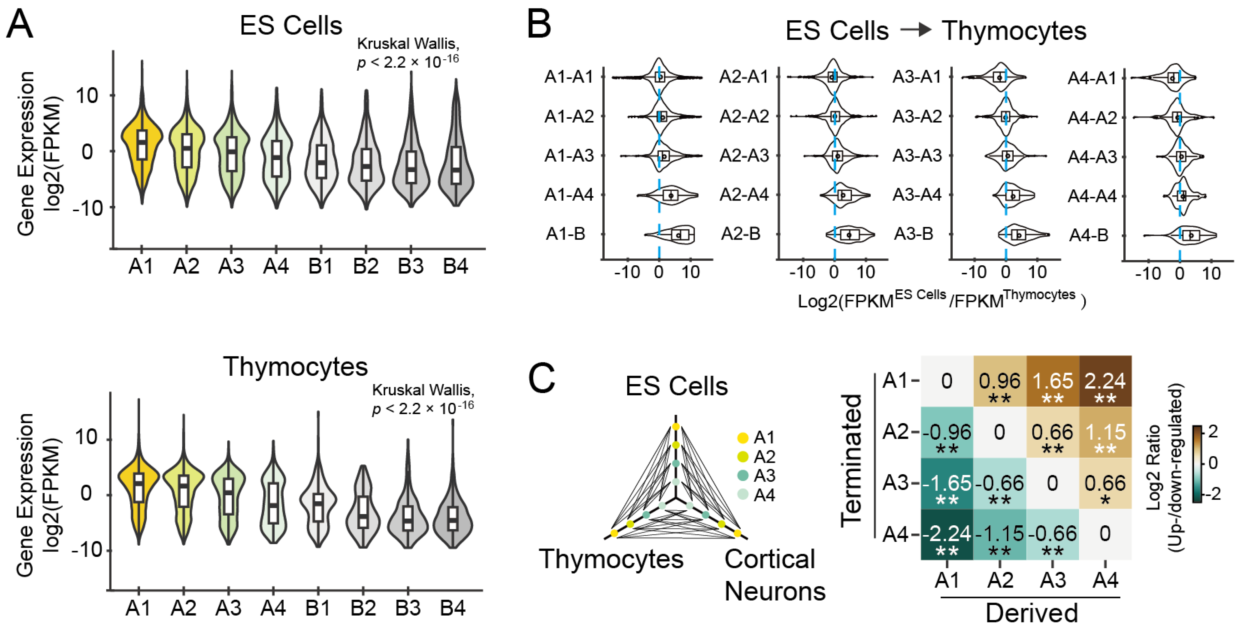 Biology 12 01058 g003 Biology 12 01058 g003