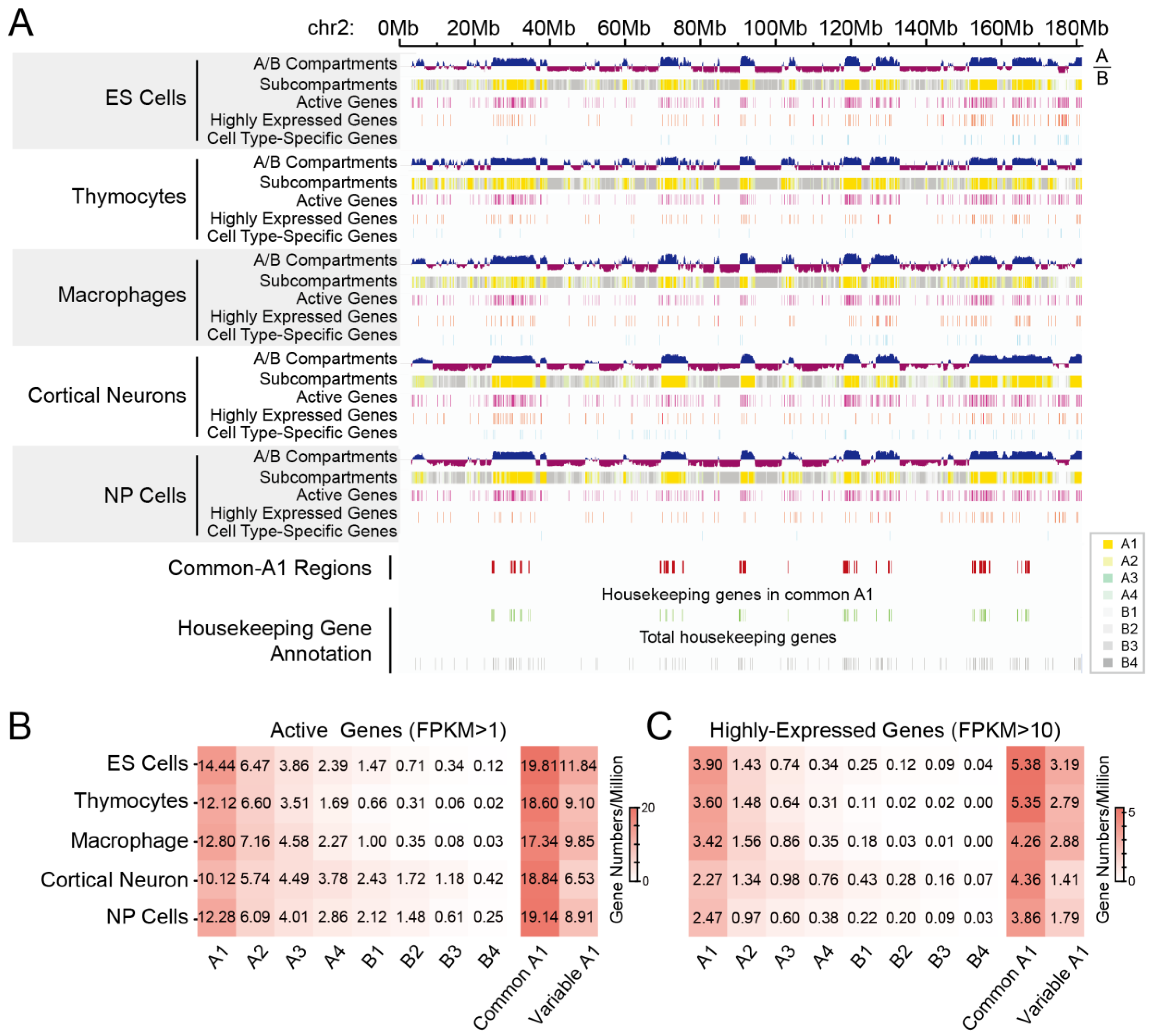 Biology 12 01058 g004 Biology 12 01058 g004